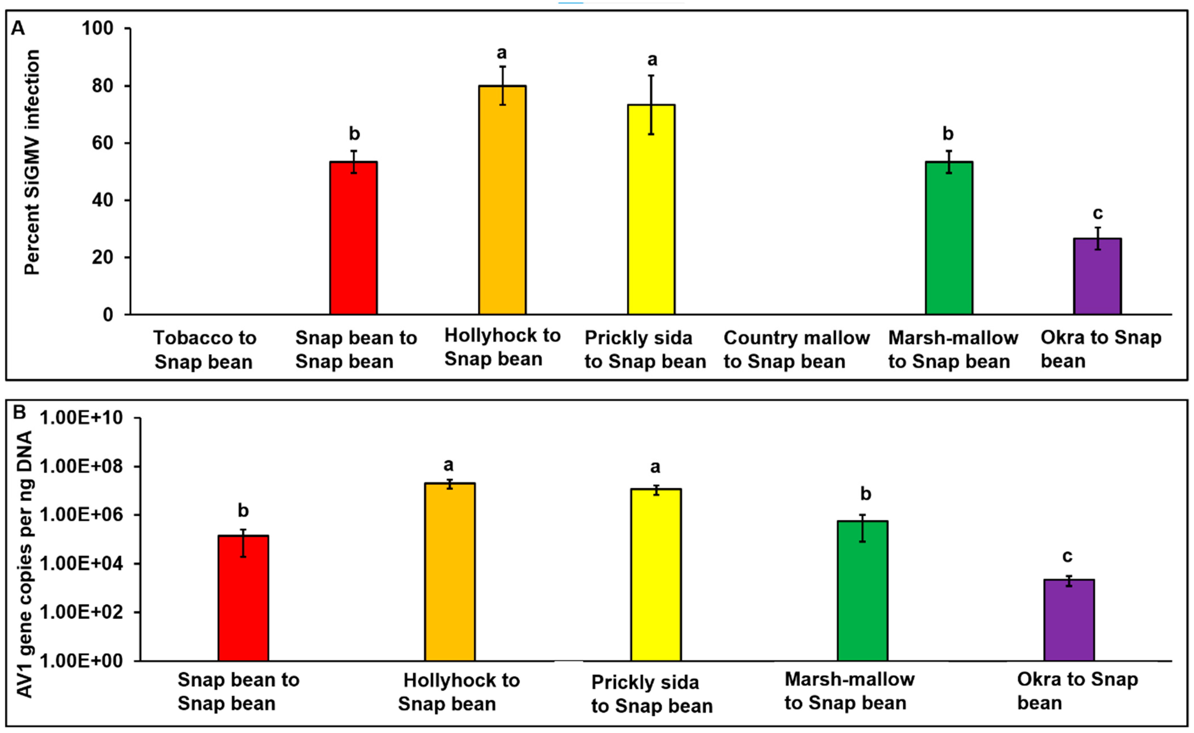 Viruses 15 00357 g005 Viruses 15 00357 g005