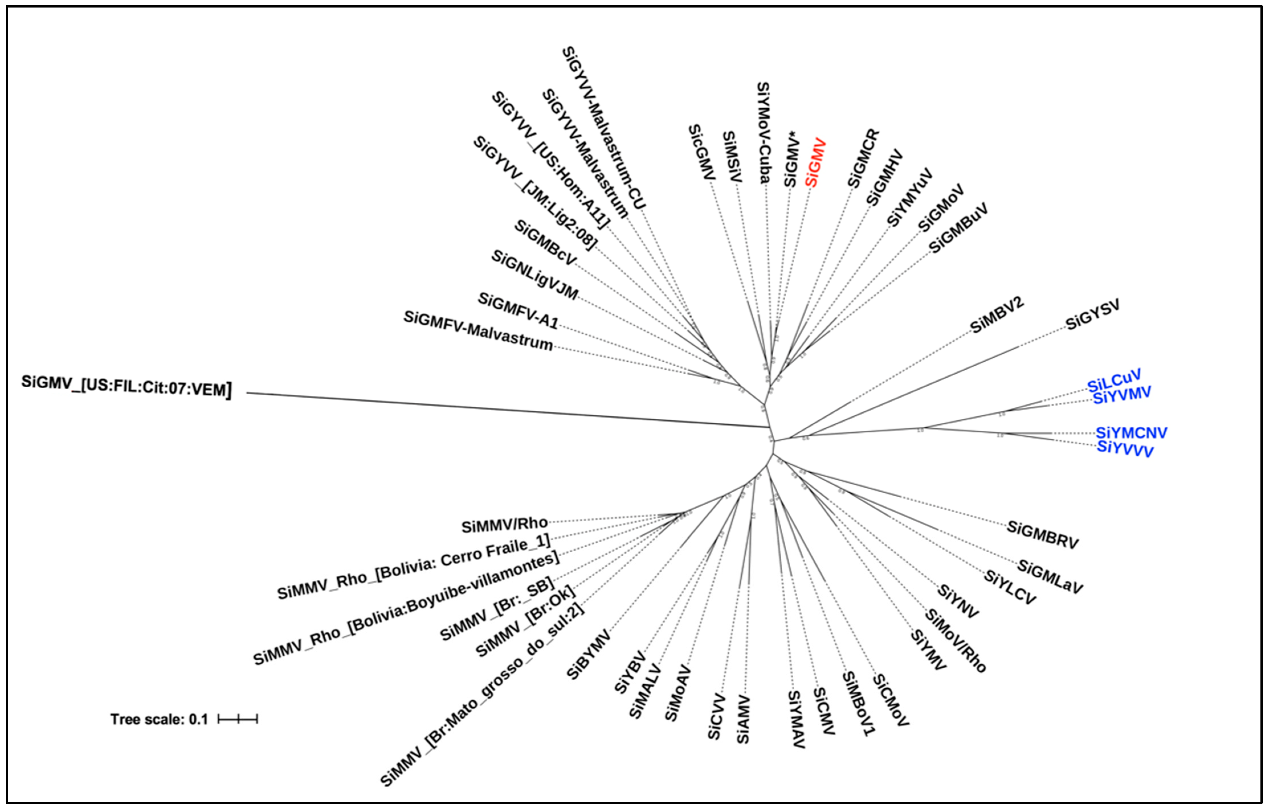 Viruses 15 00357 g007 Viruses 15 00357 g007