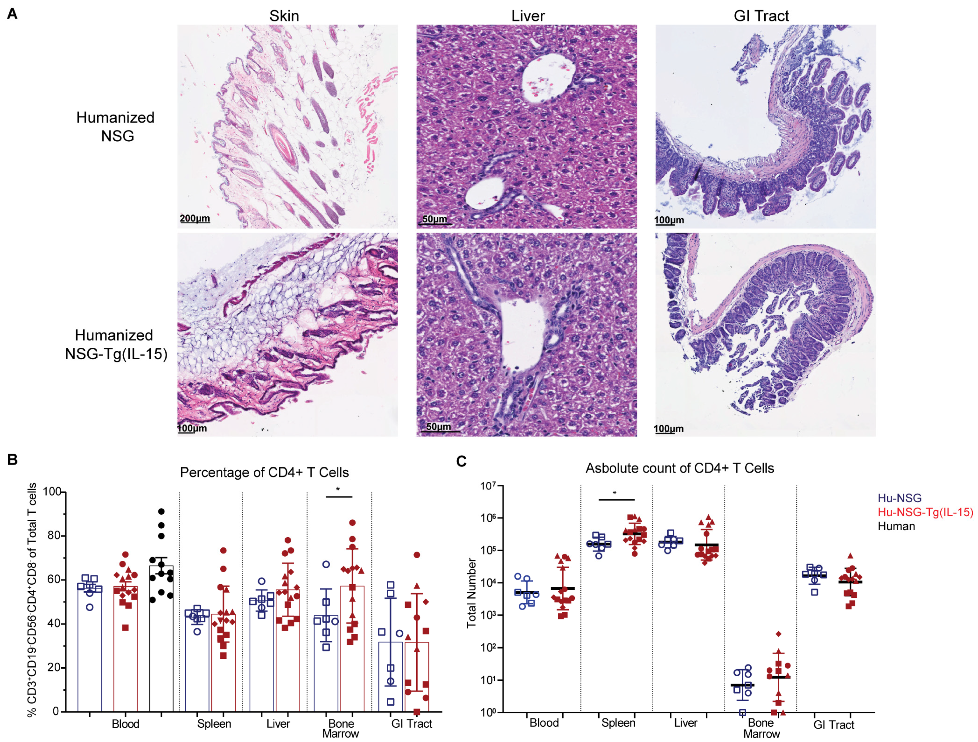 Viruses 15 00365 g002