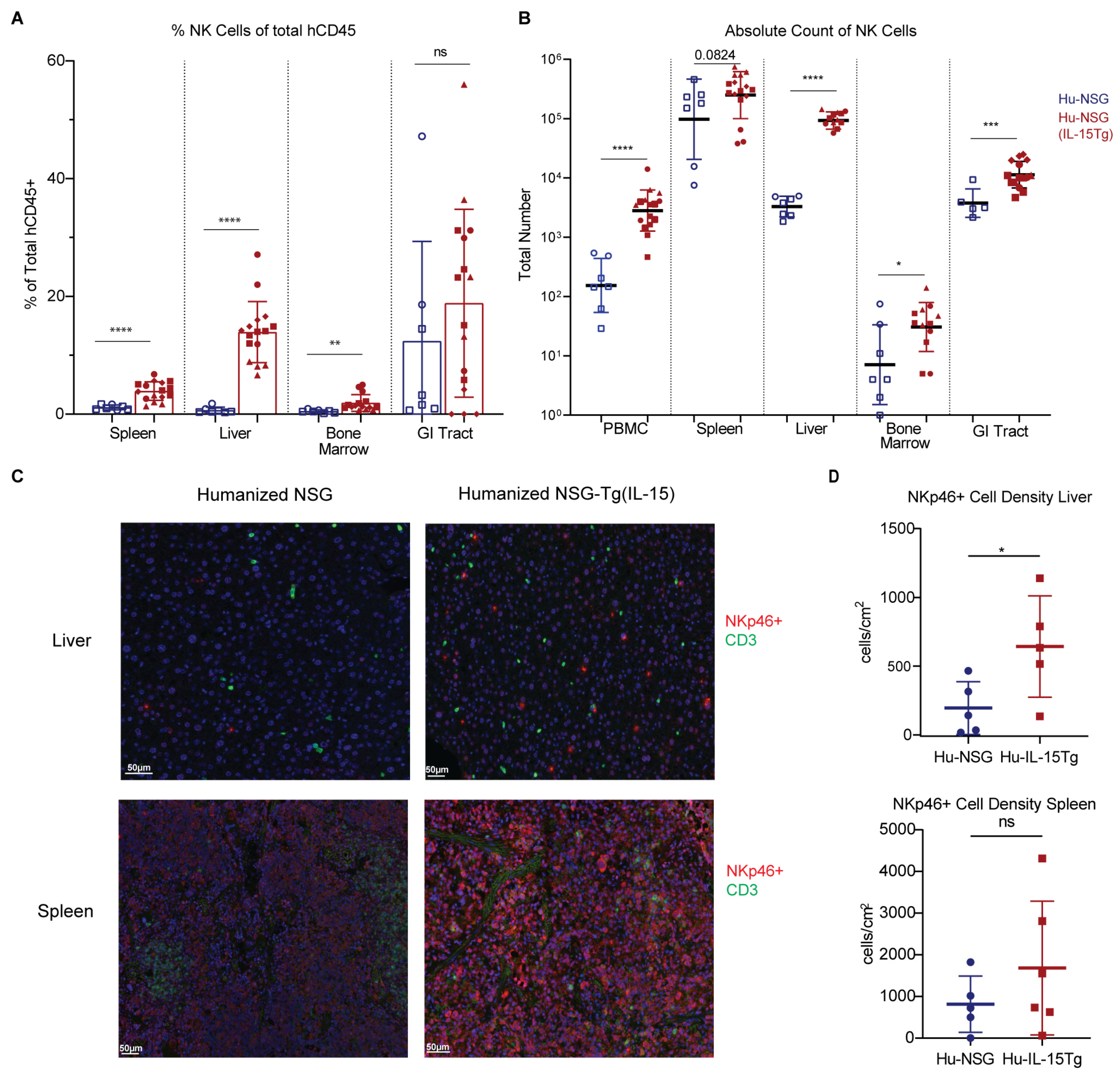Viruses 15 00365 g003