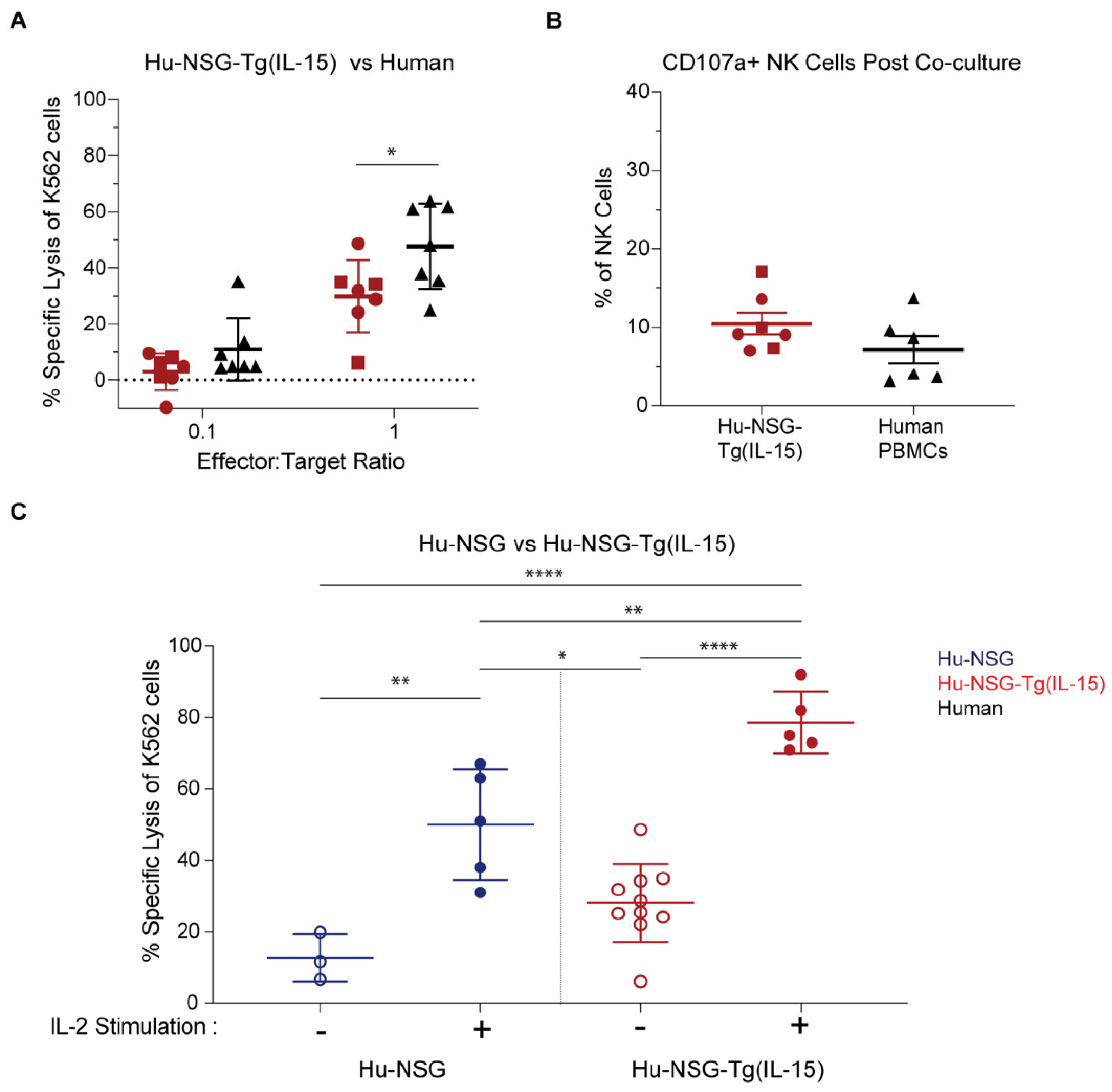 Viruses 15 00365 g005