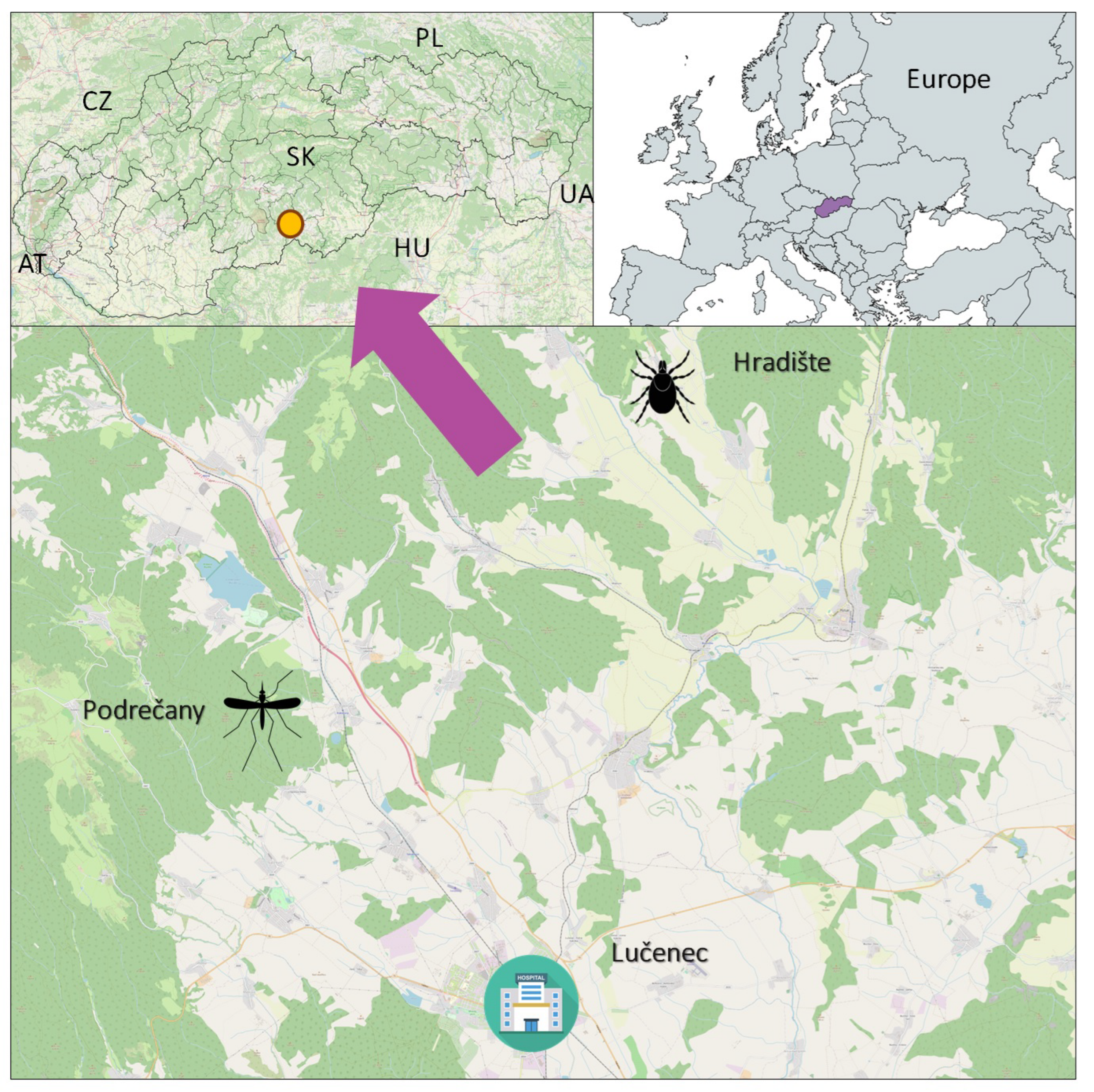 Viruses 15 00366 g001