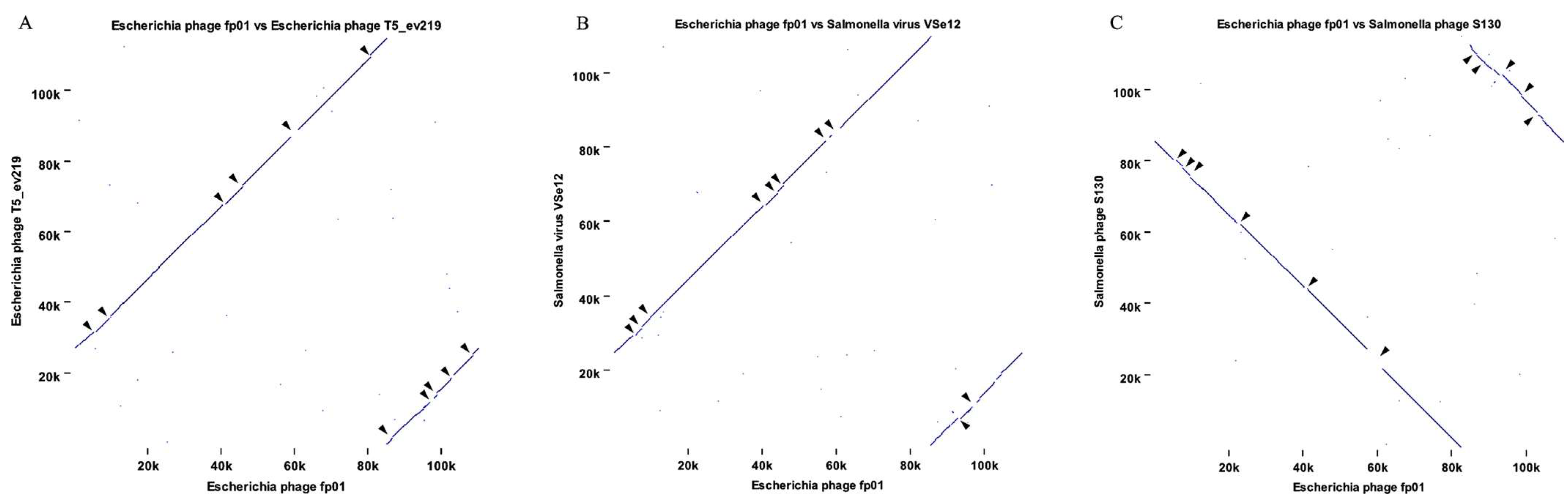 Viruses 15 00379 g003