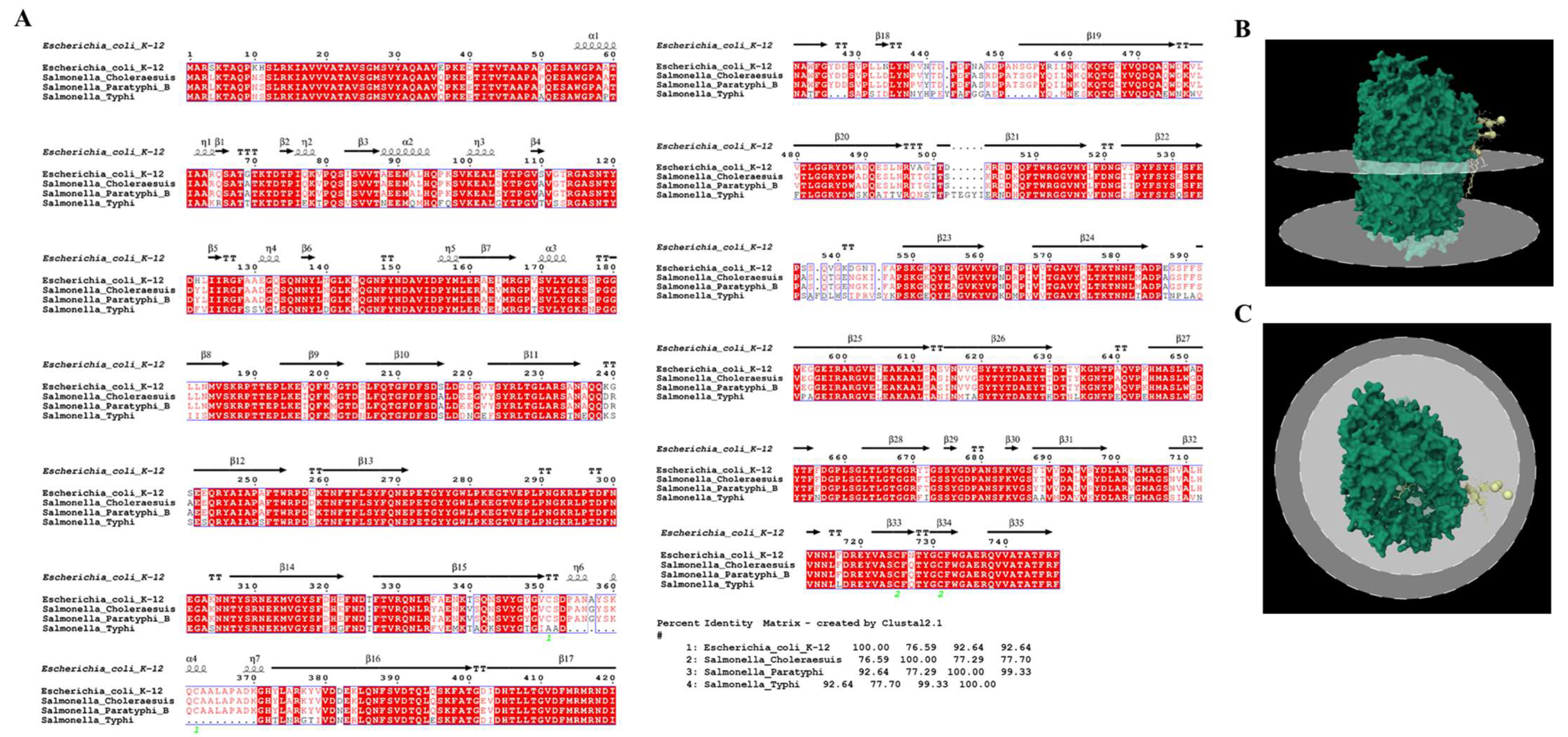 Viruses 15 00379 g005