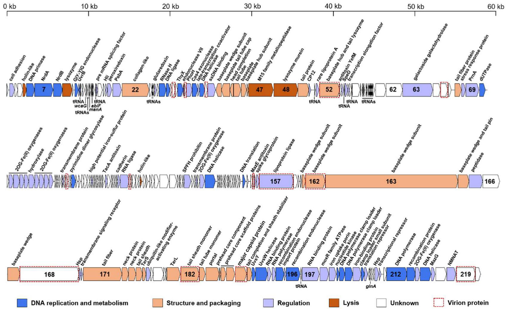 Viruses 15 00380 g002 Viruses 15 00380 g002