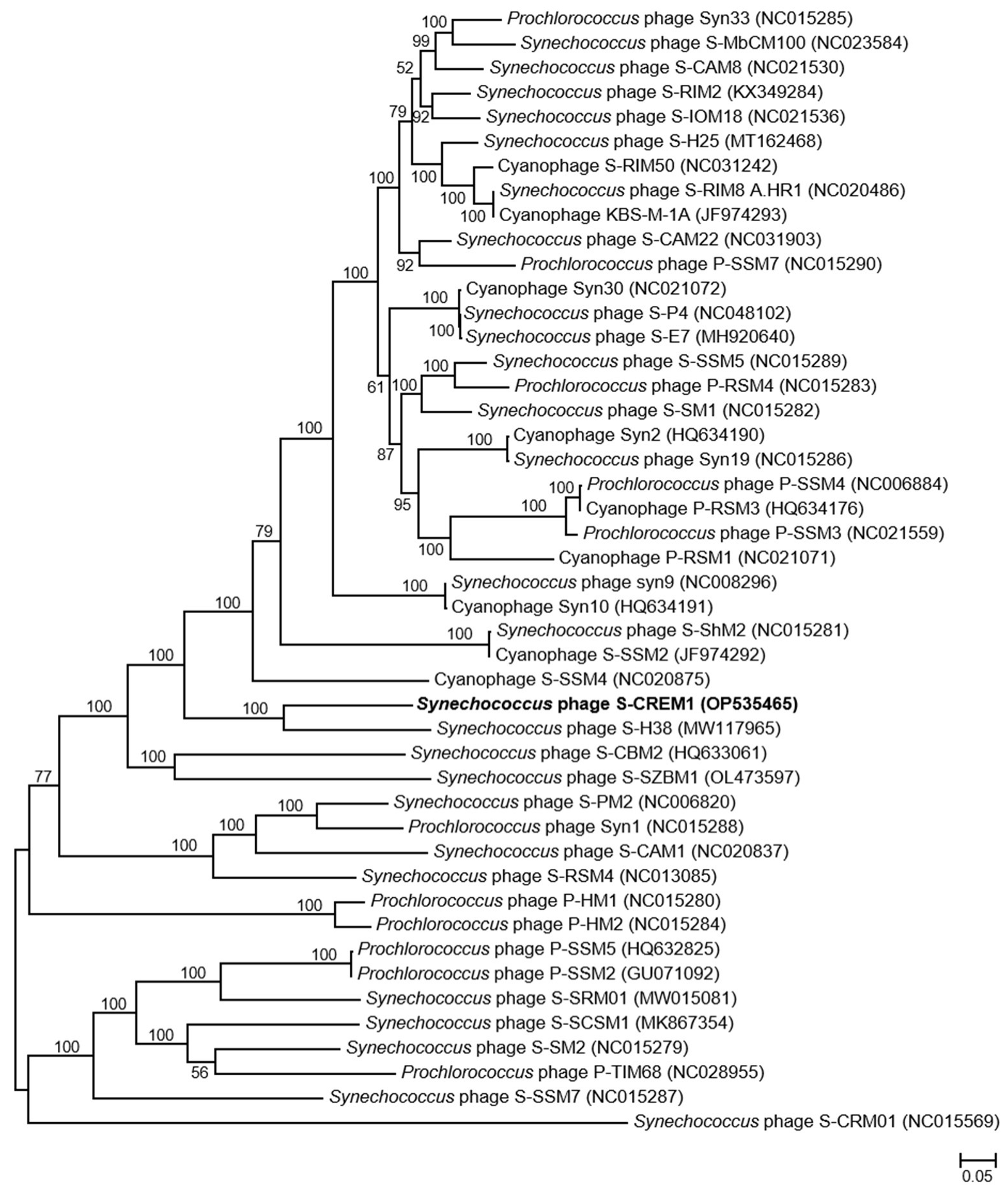 Viruses 15 00380 g003 Viruses 15 00380 g003