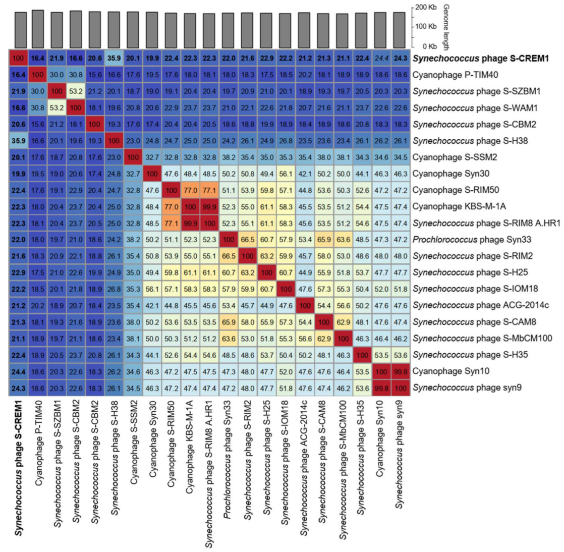Viruses 15 00380 g004 Viruses 15 00380 g004