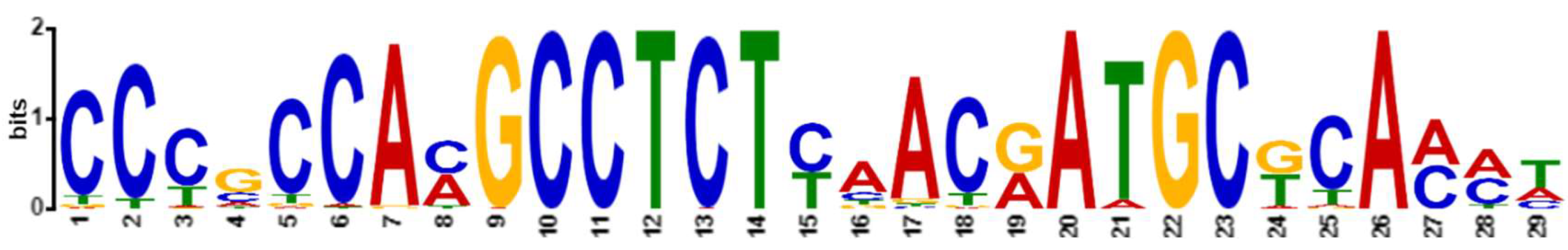 Viruses 15 00380 g006 Viruses 15 00380 g006