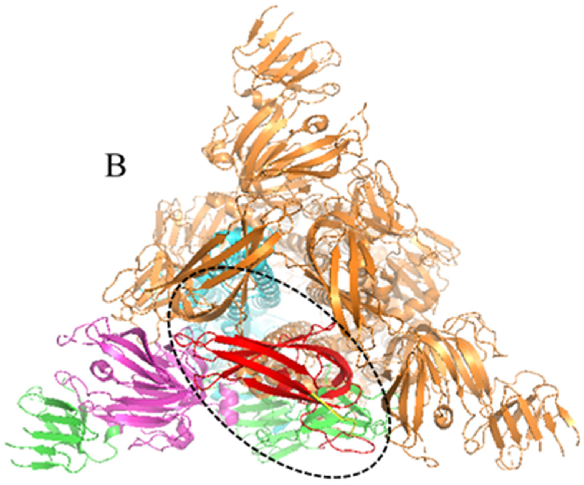 Viruses 15 00381 g001b