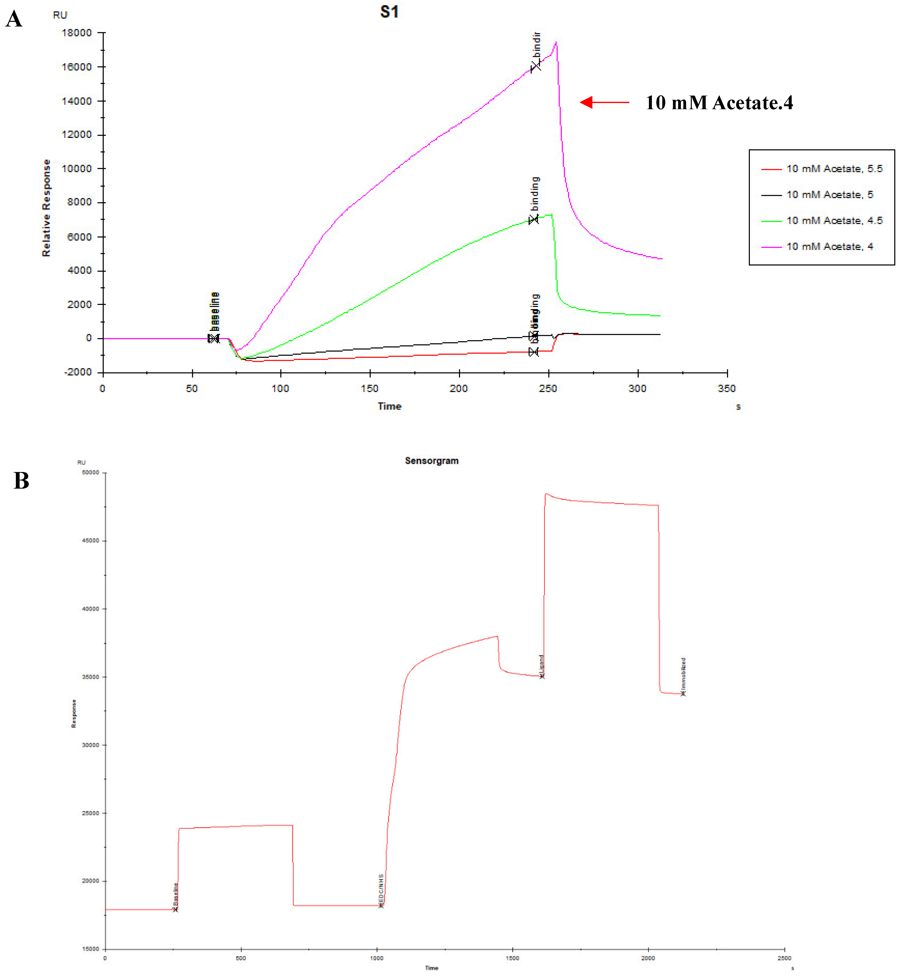Viruses 15 00381 g004
