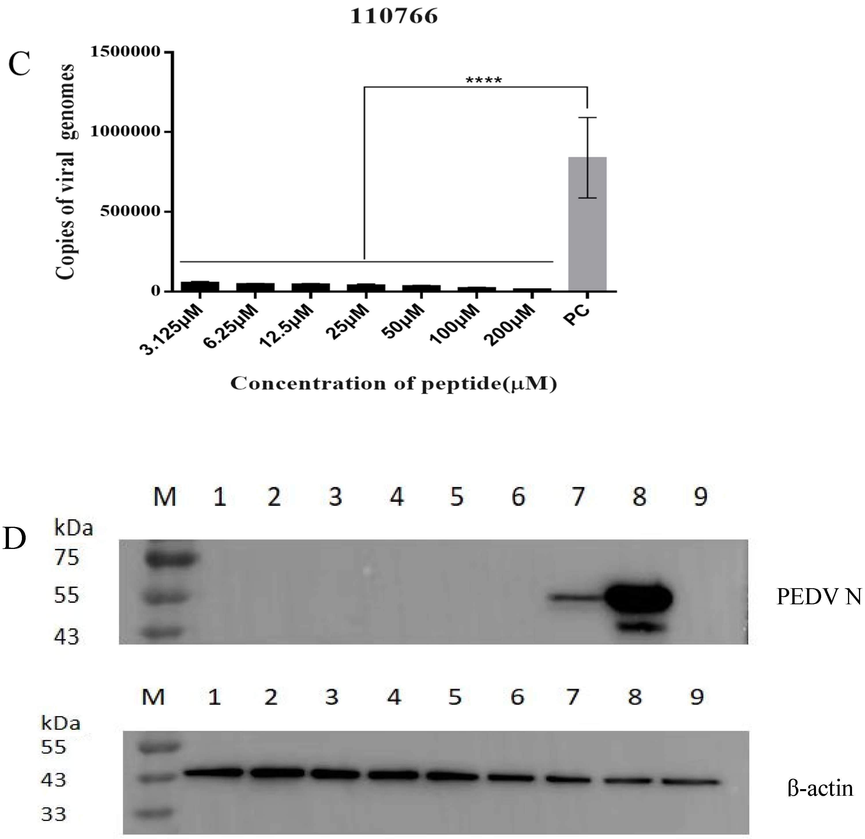 Viruses 15 00381 g006b