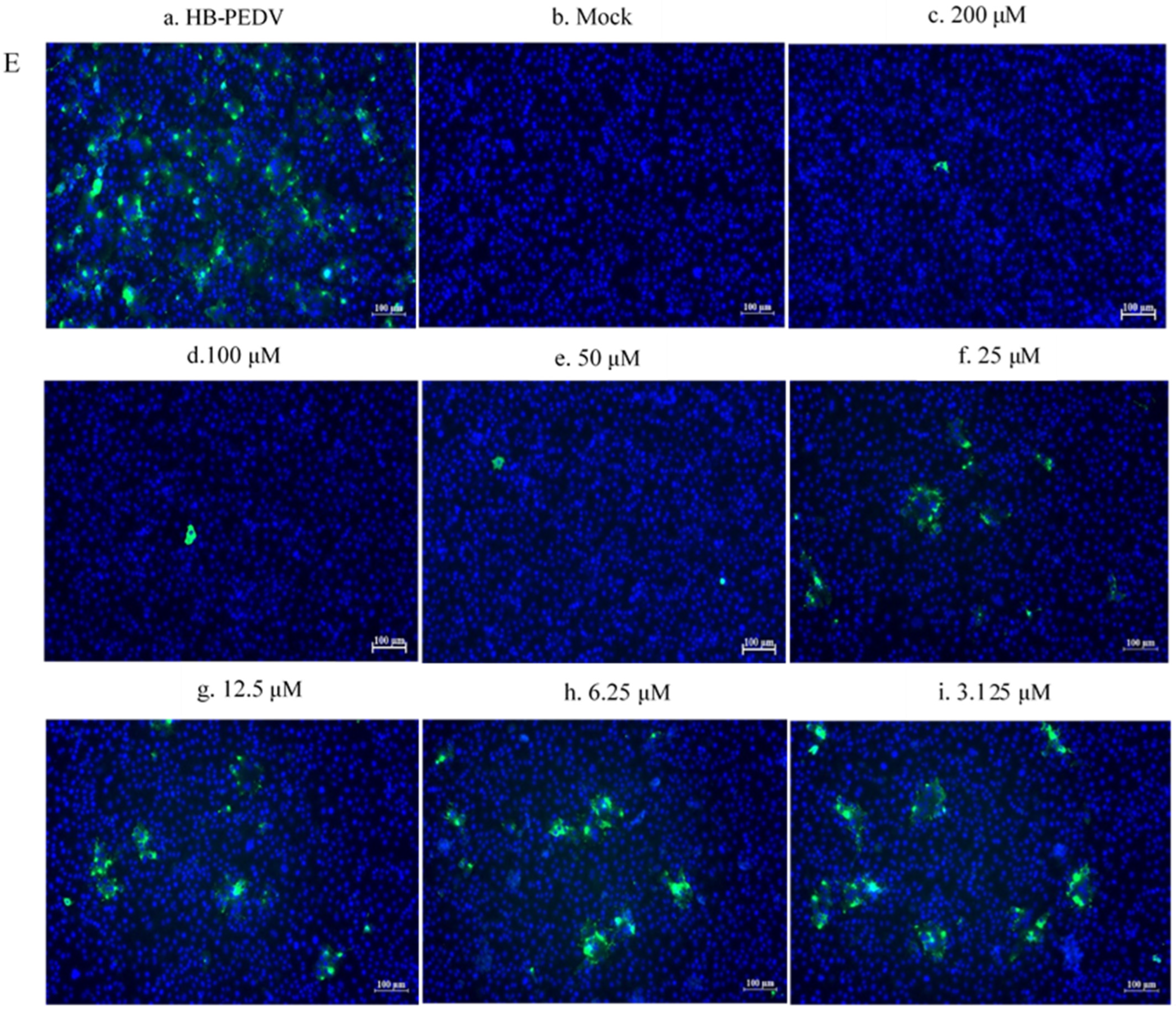 Viruses 15 00381 g006c