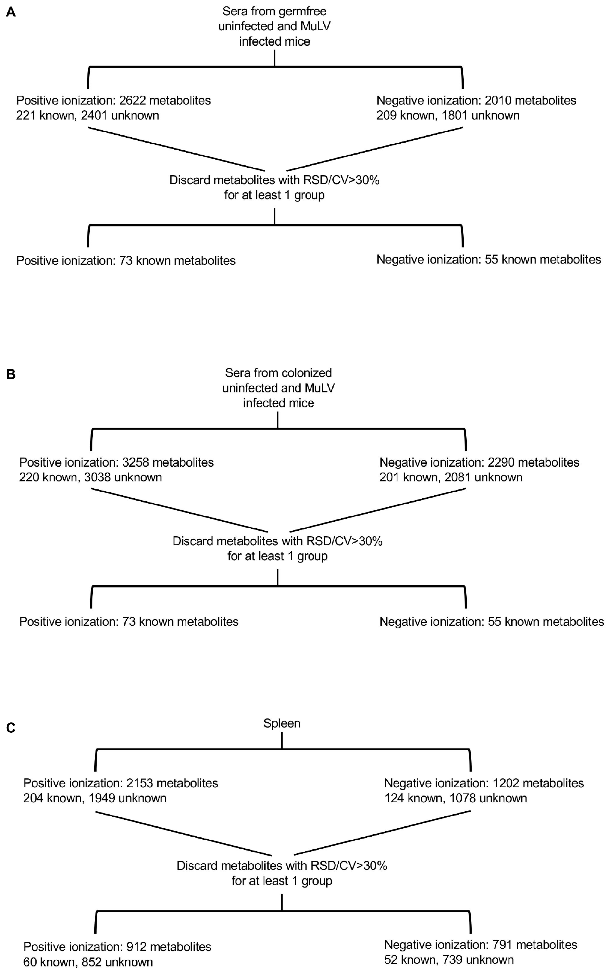 Viruses 15 00386 g001