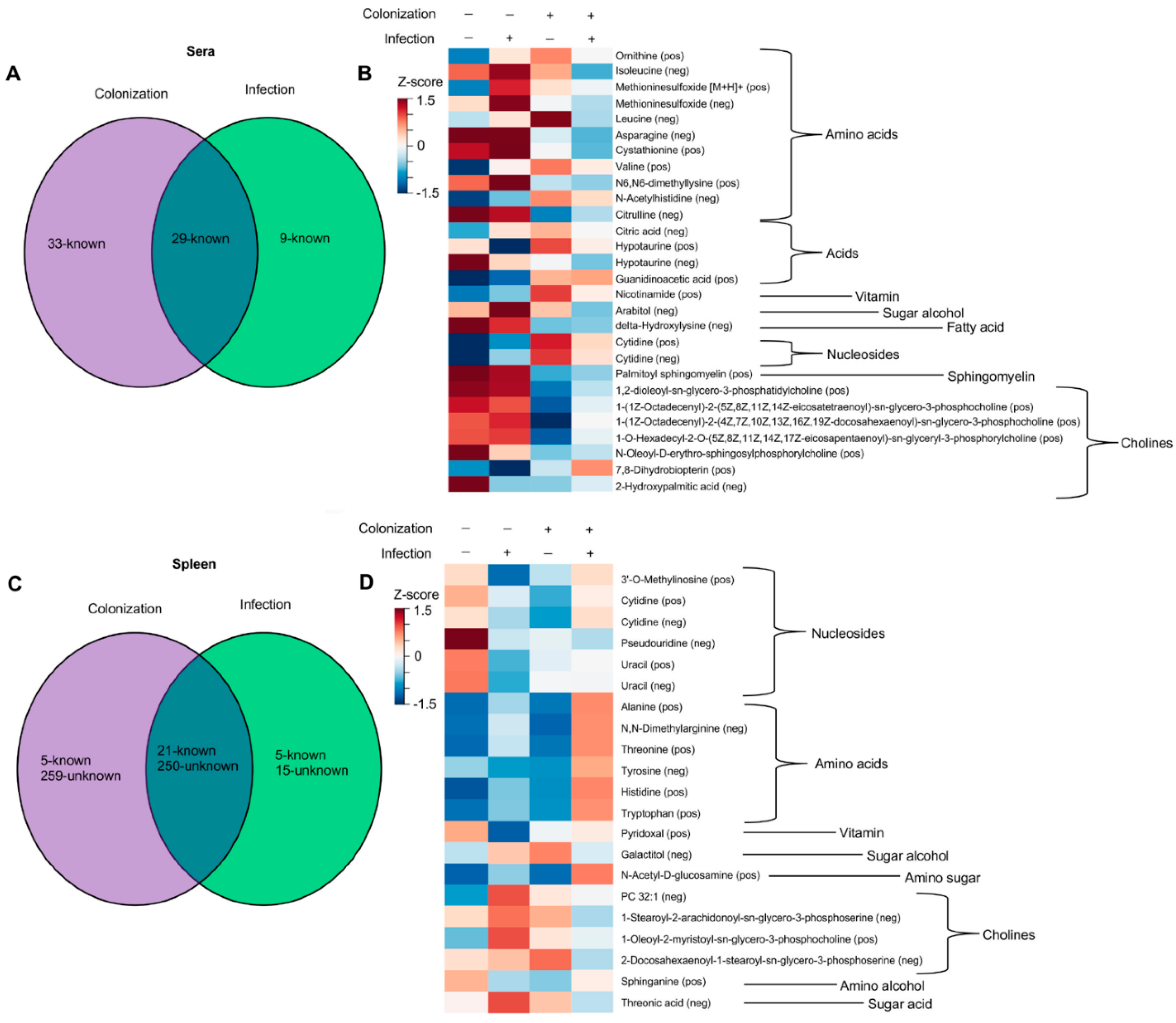 Viruses 15 00386 g003