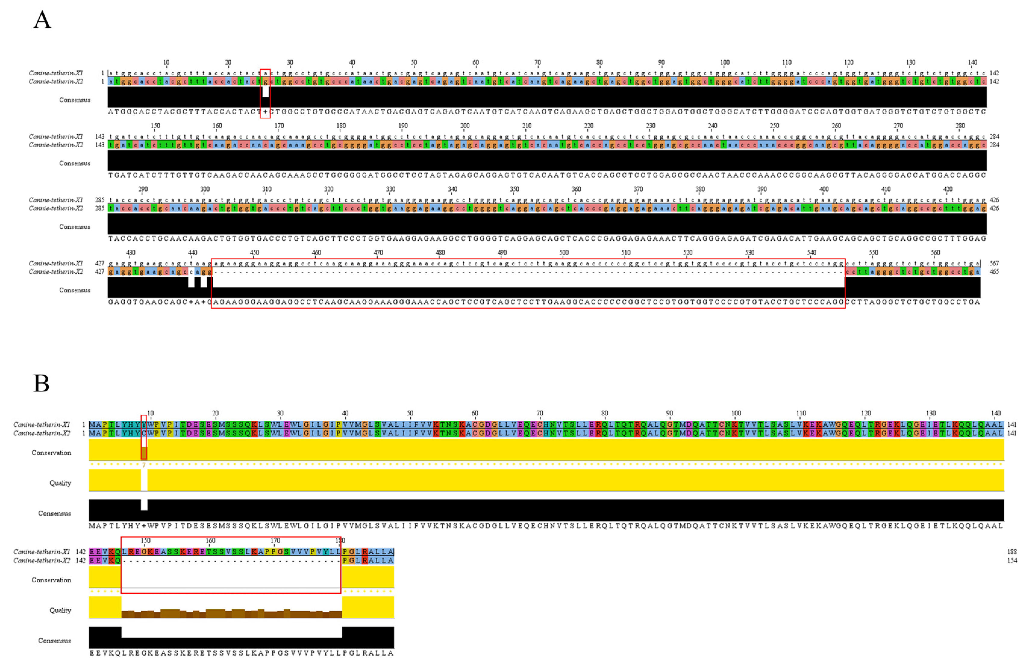 Viruses 15 00393 g002