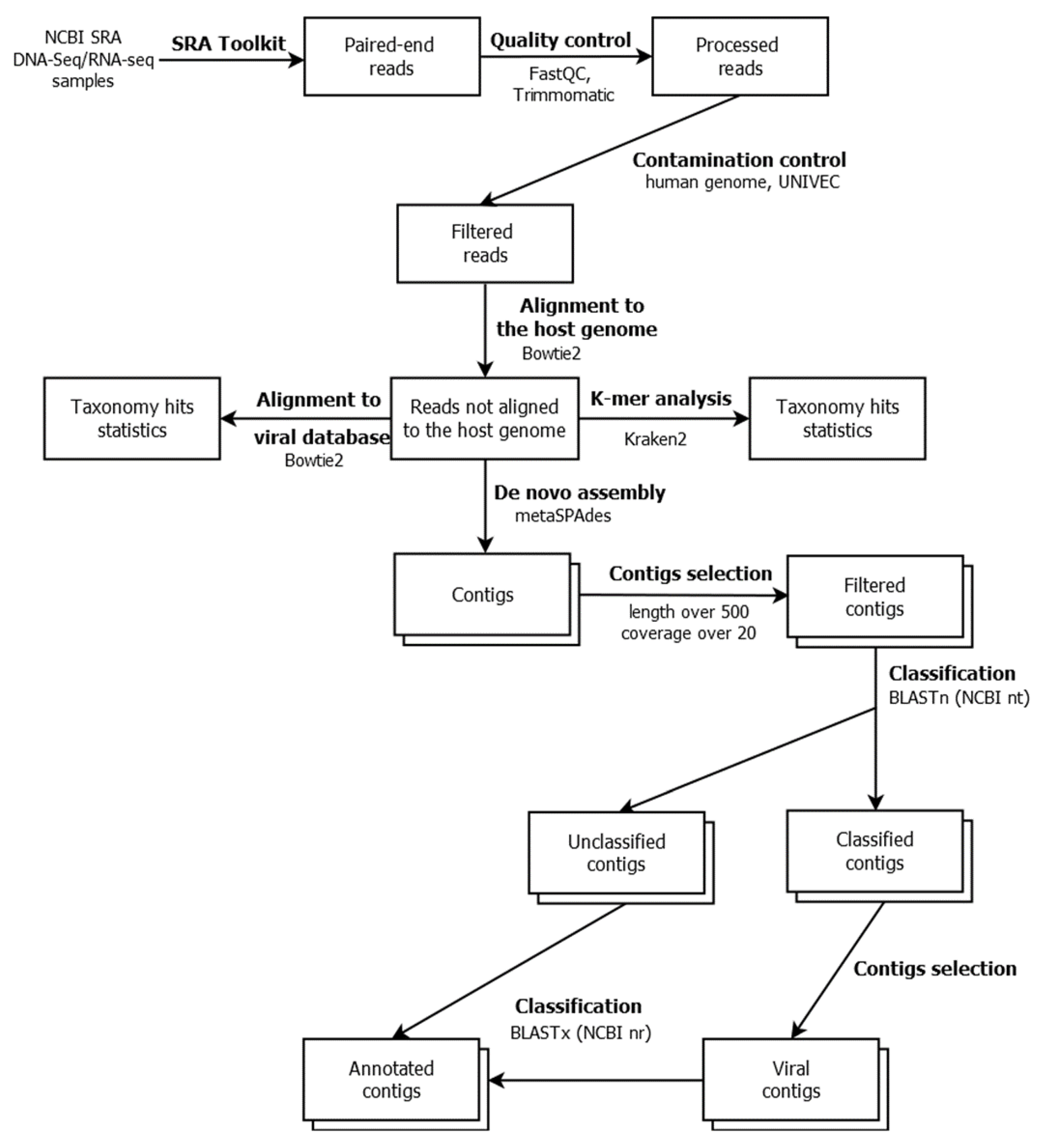 Viruses 15 00395 g001