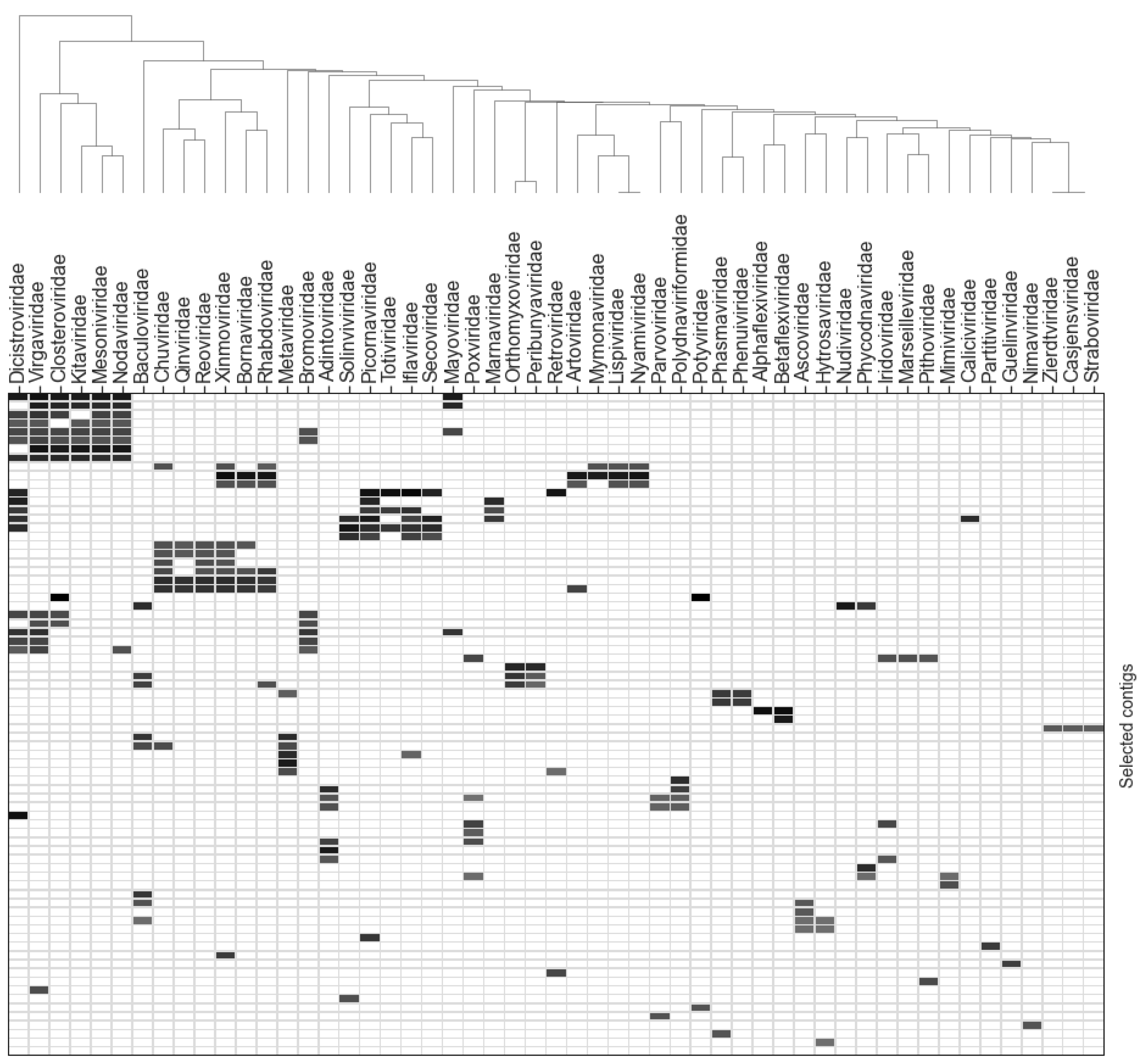 Viruses 15 00395 g004