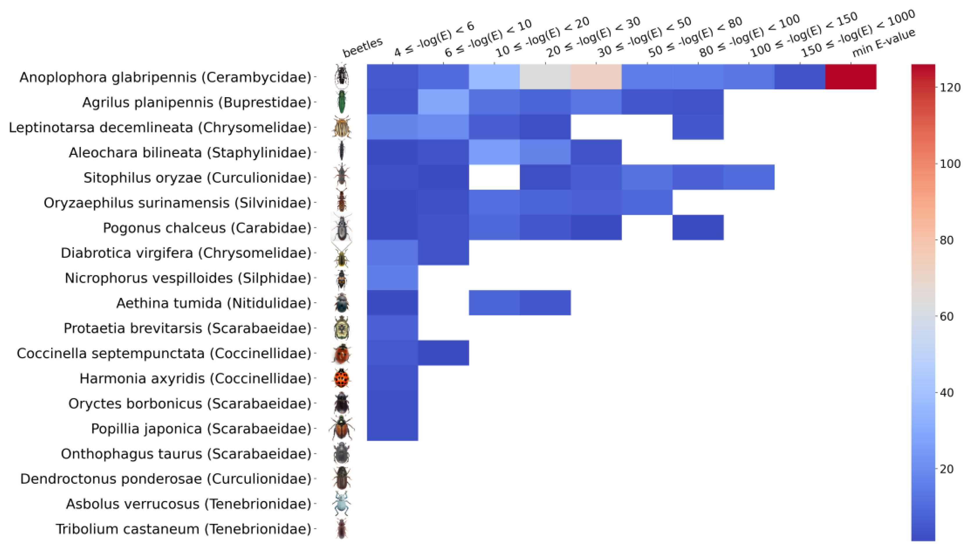 Viruses 15 00395 g006