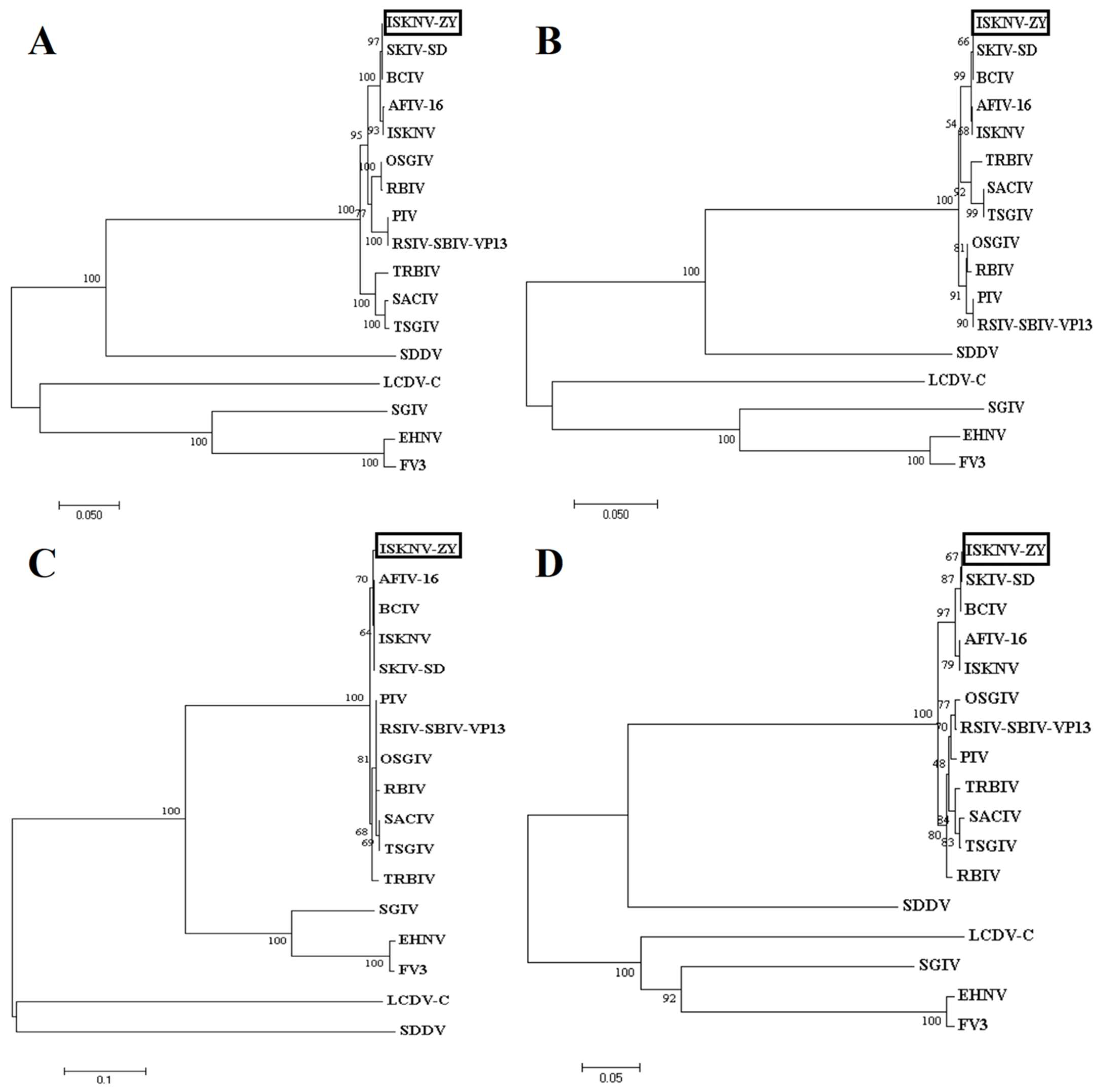 Viruses 15 00398 g003