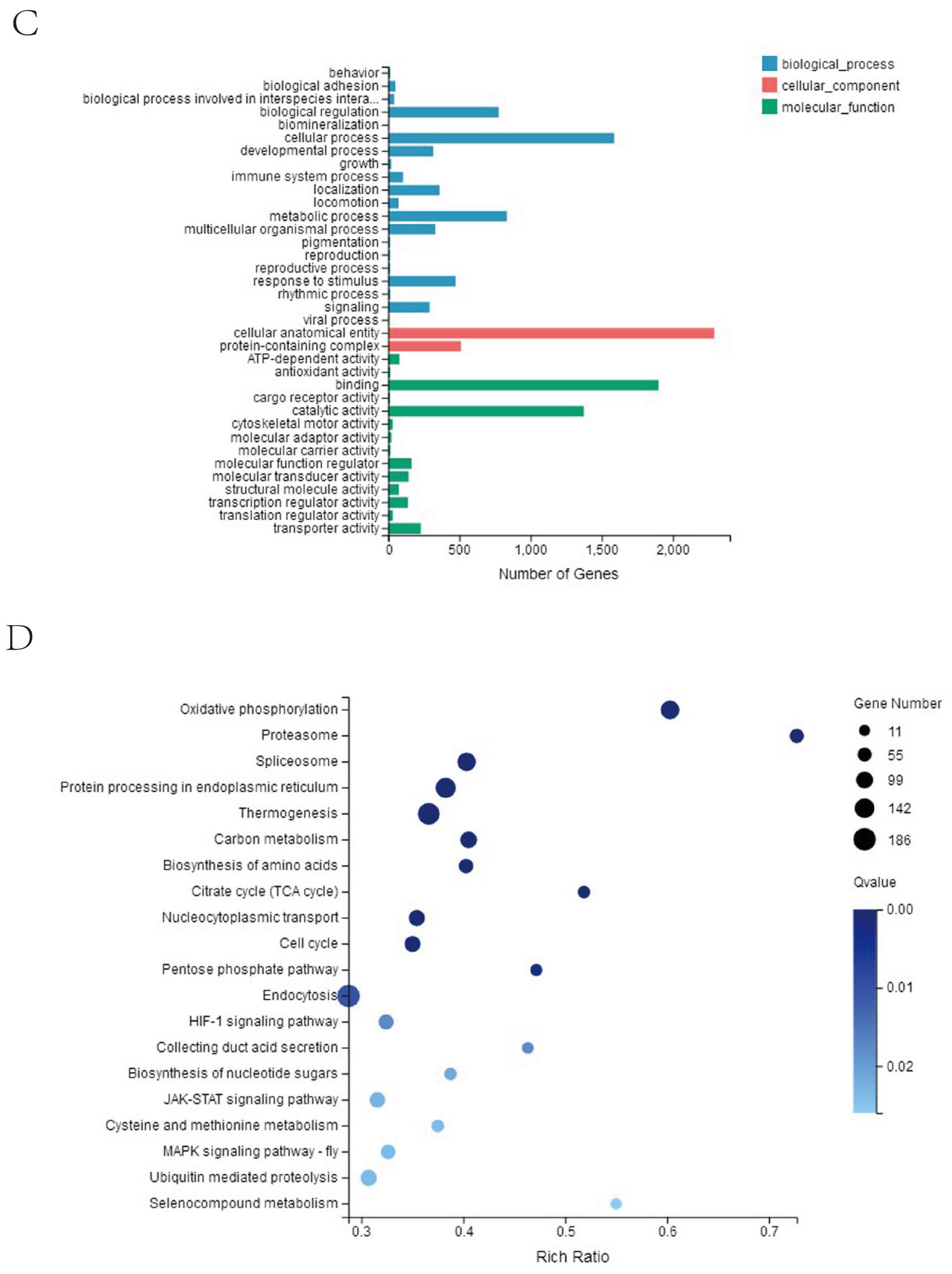Viruses 15 00398 g006b