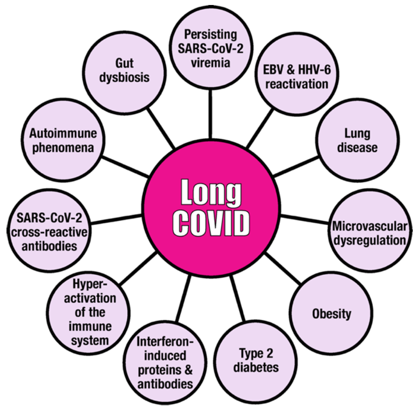 Viruses 15 00400 g001