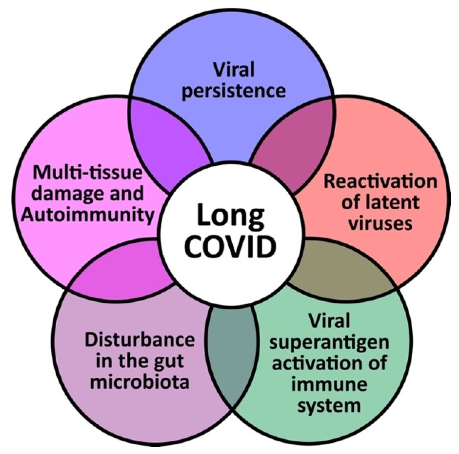 Viruses 15 00400 g002