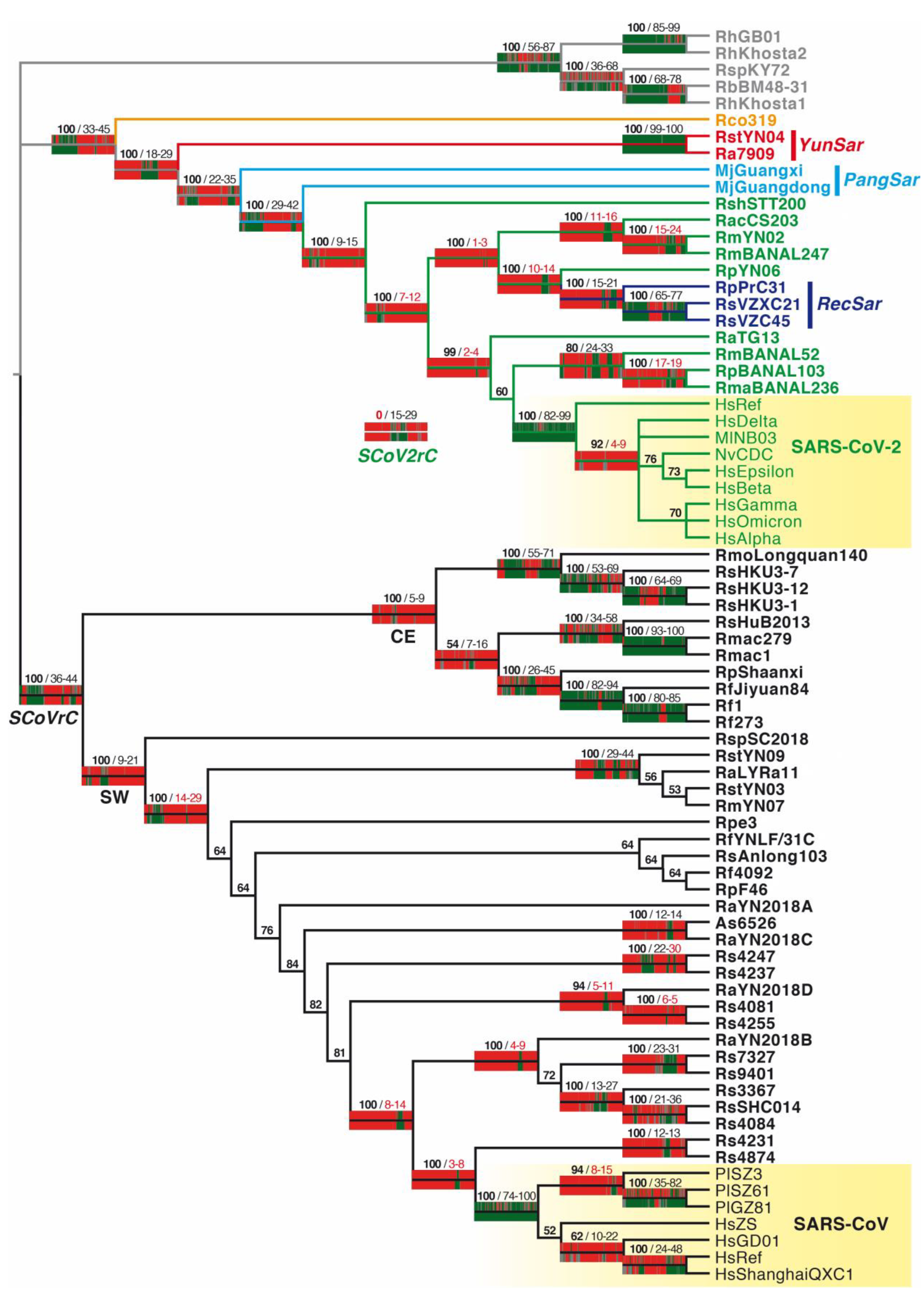 Viruses 15 00406 g002