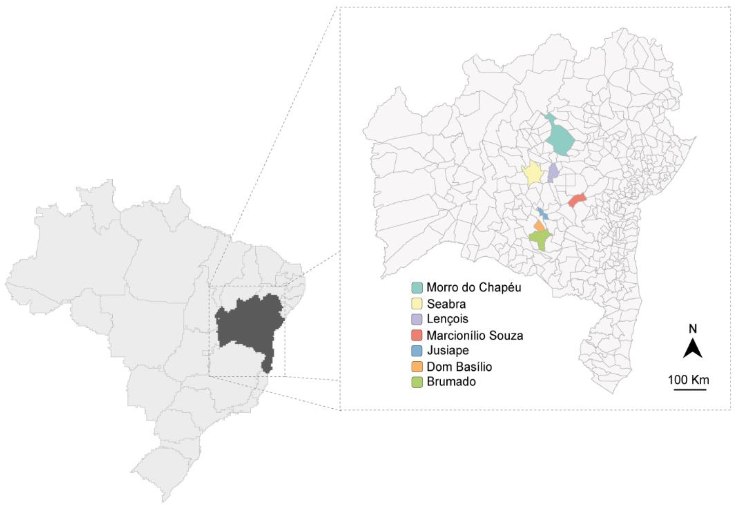 Viruses 15 00410 g001