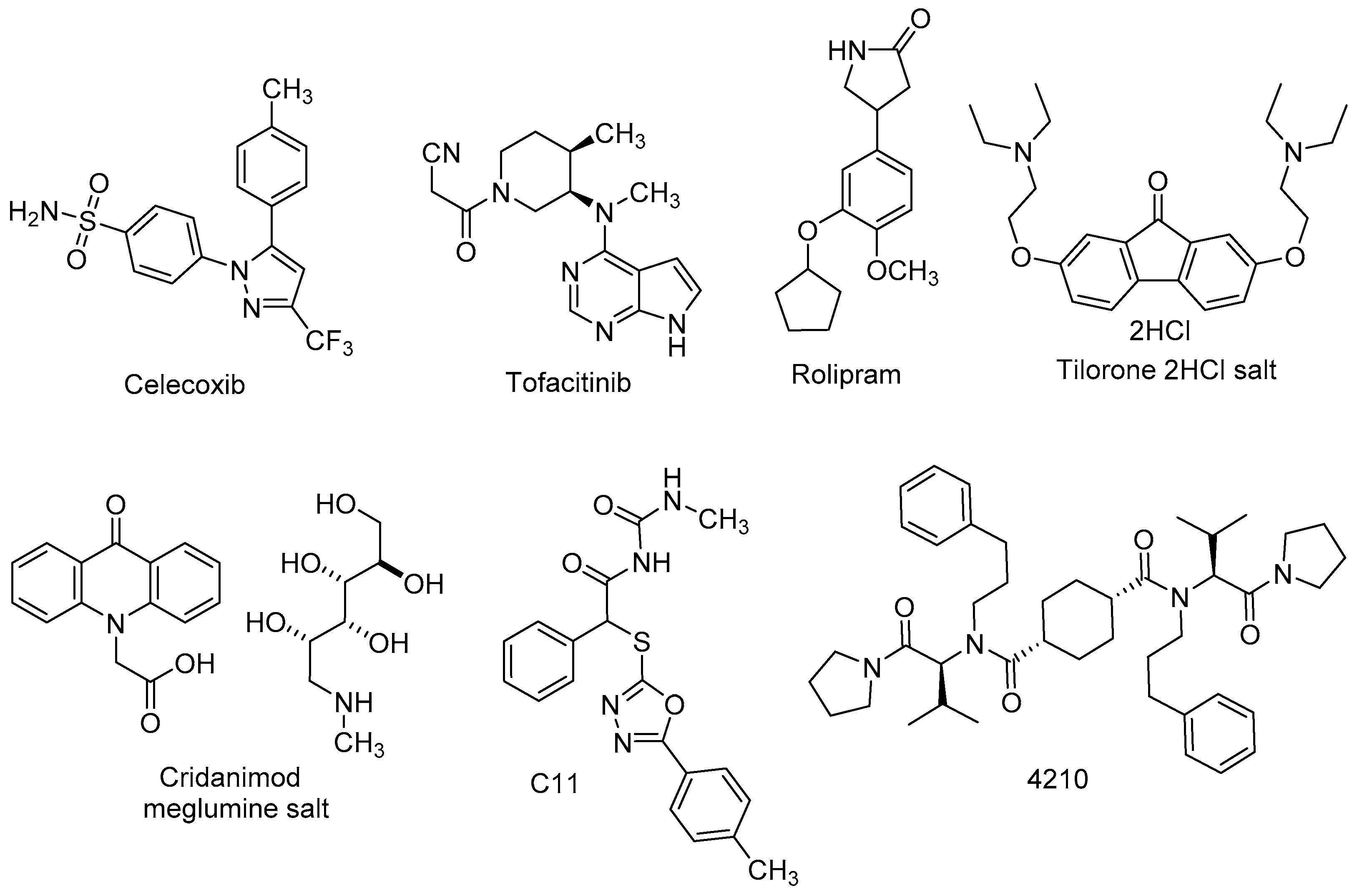 Viruses 15 00413 g001