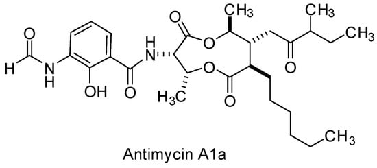 Viruses 15 00413 g006