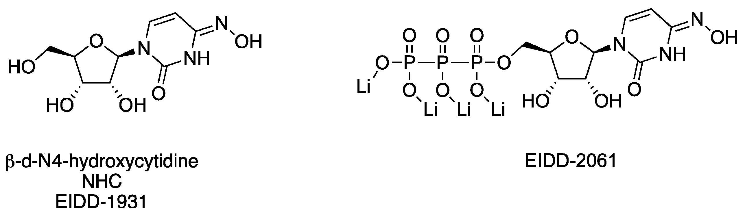 Viruses 15 00413 g010