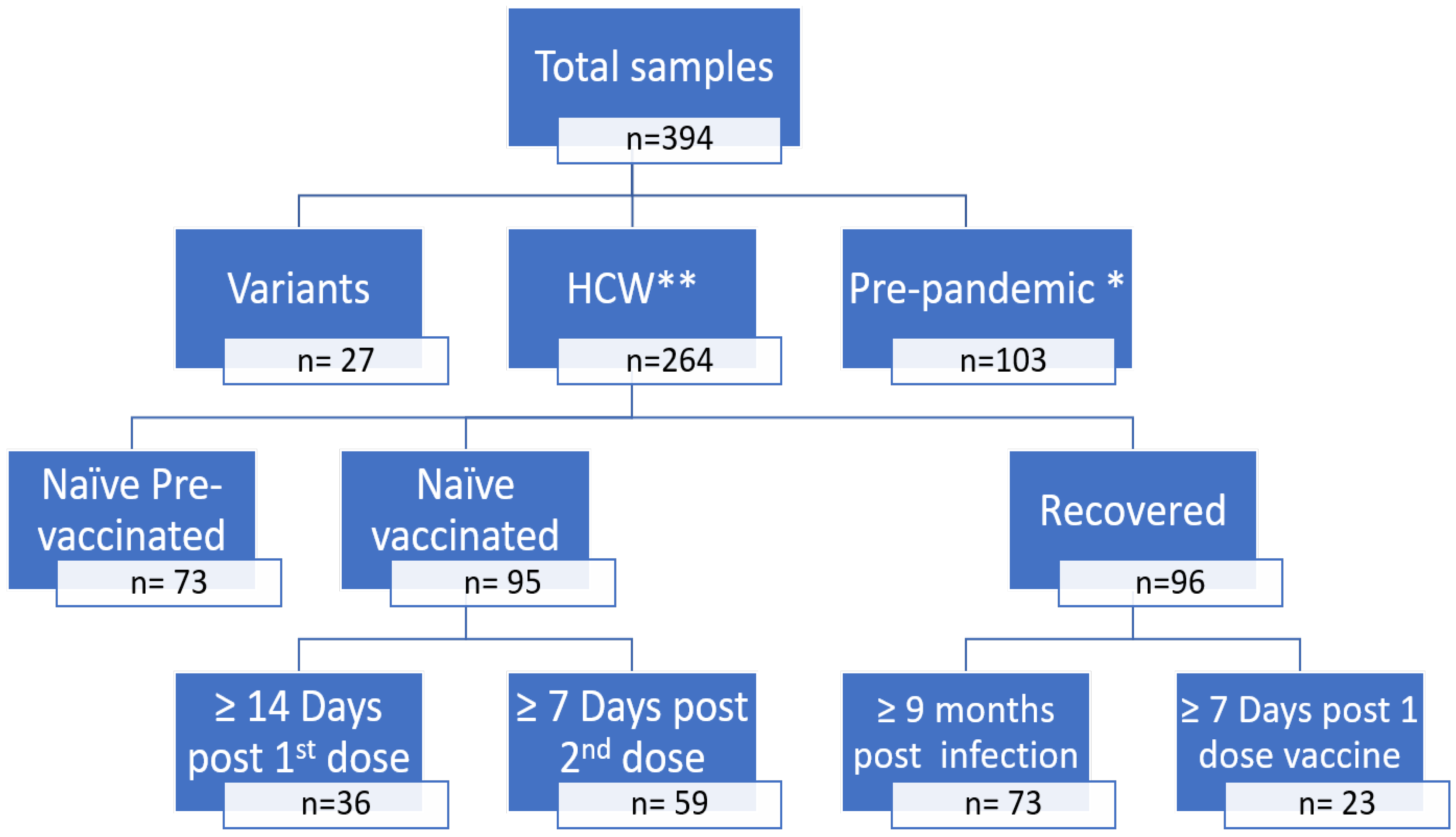 Viruses 15 00426 g002