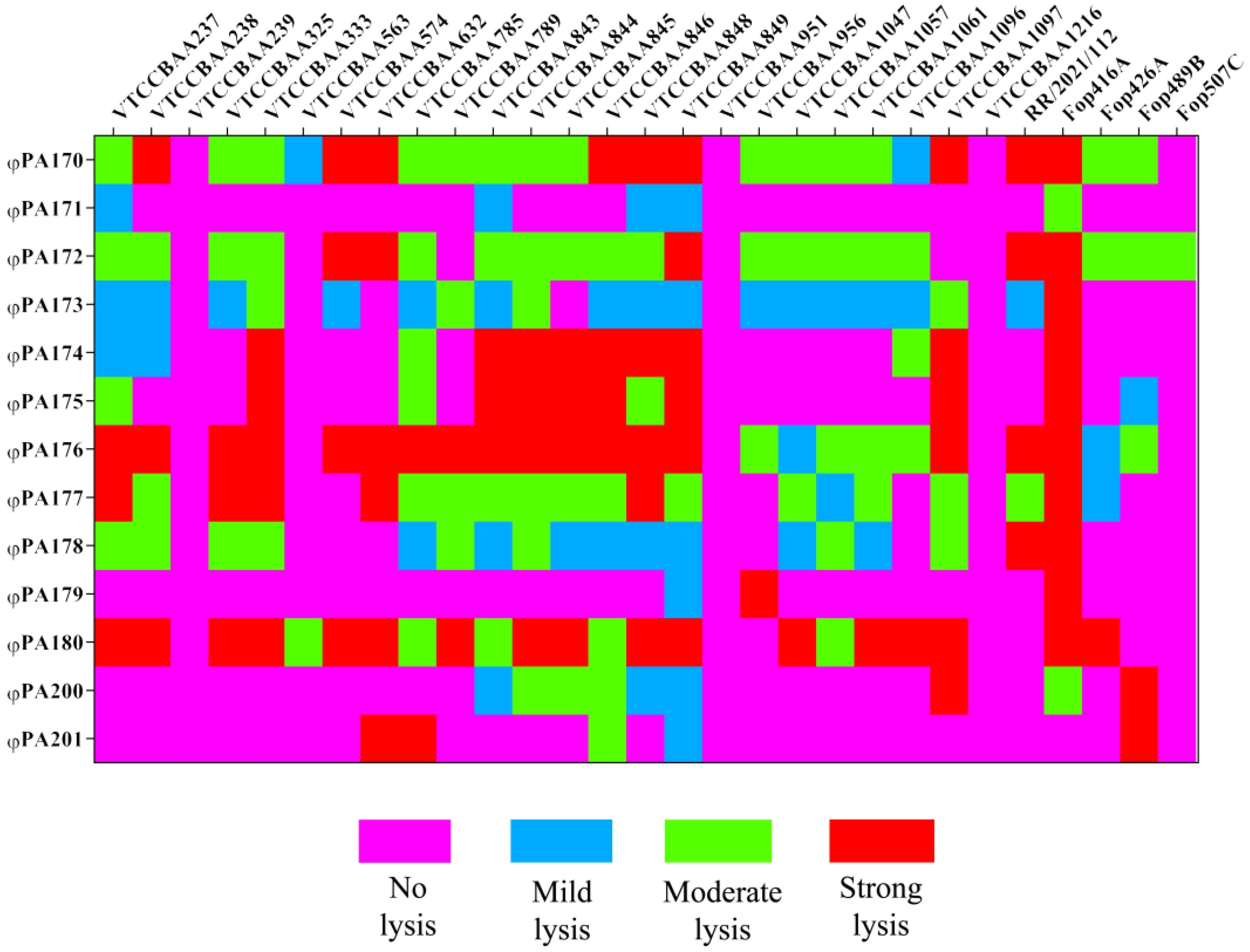 Viruses 15 00427 g001 Viruses 15 00427 g001