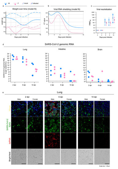 Viruses 15 00428 g001