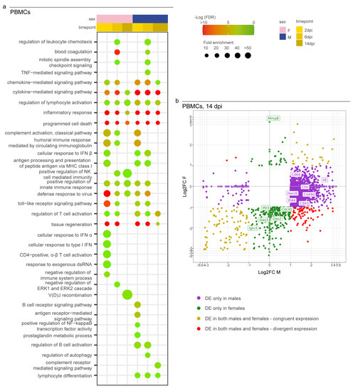 Viruses 15 00428 g005