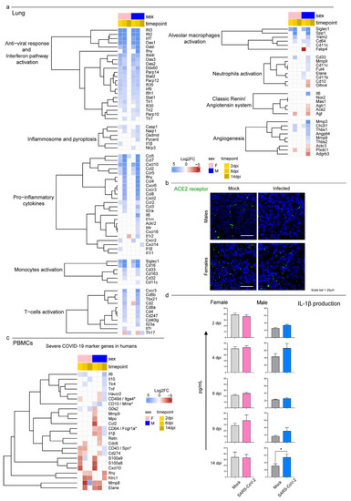 Viruses 15 00428 g006