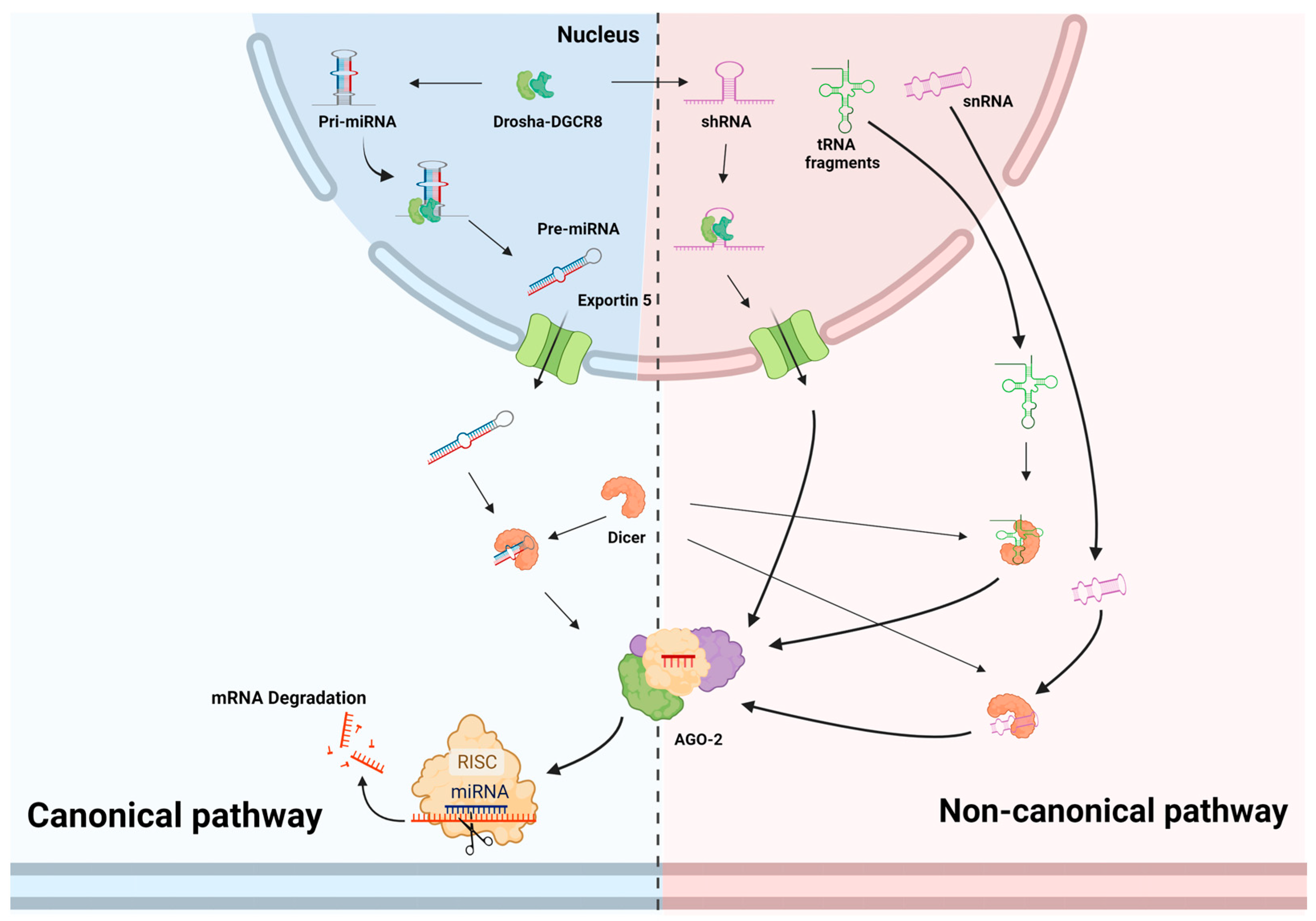 Viruses 15 00429 g001