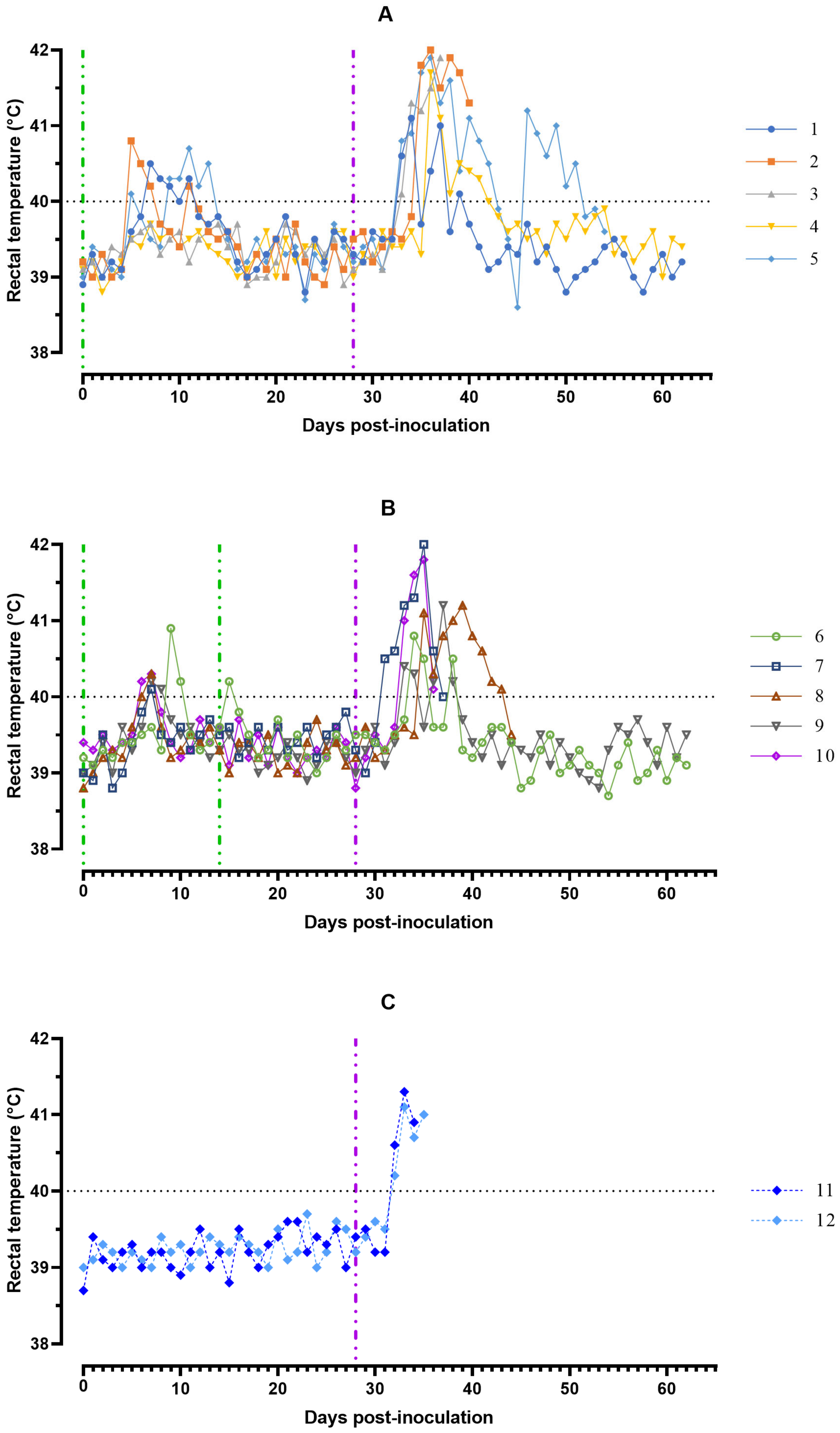 Viruses 15 00430 g001 Viruses 15 00430 g001