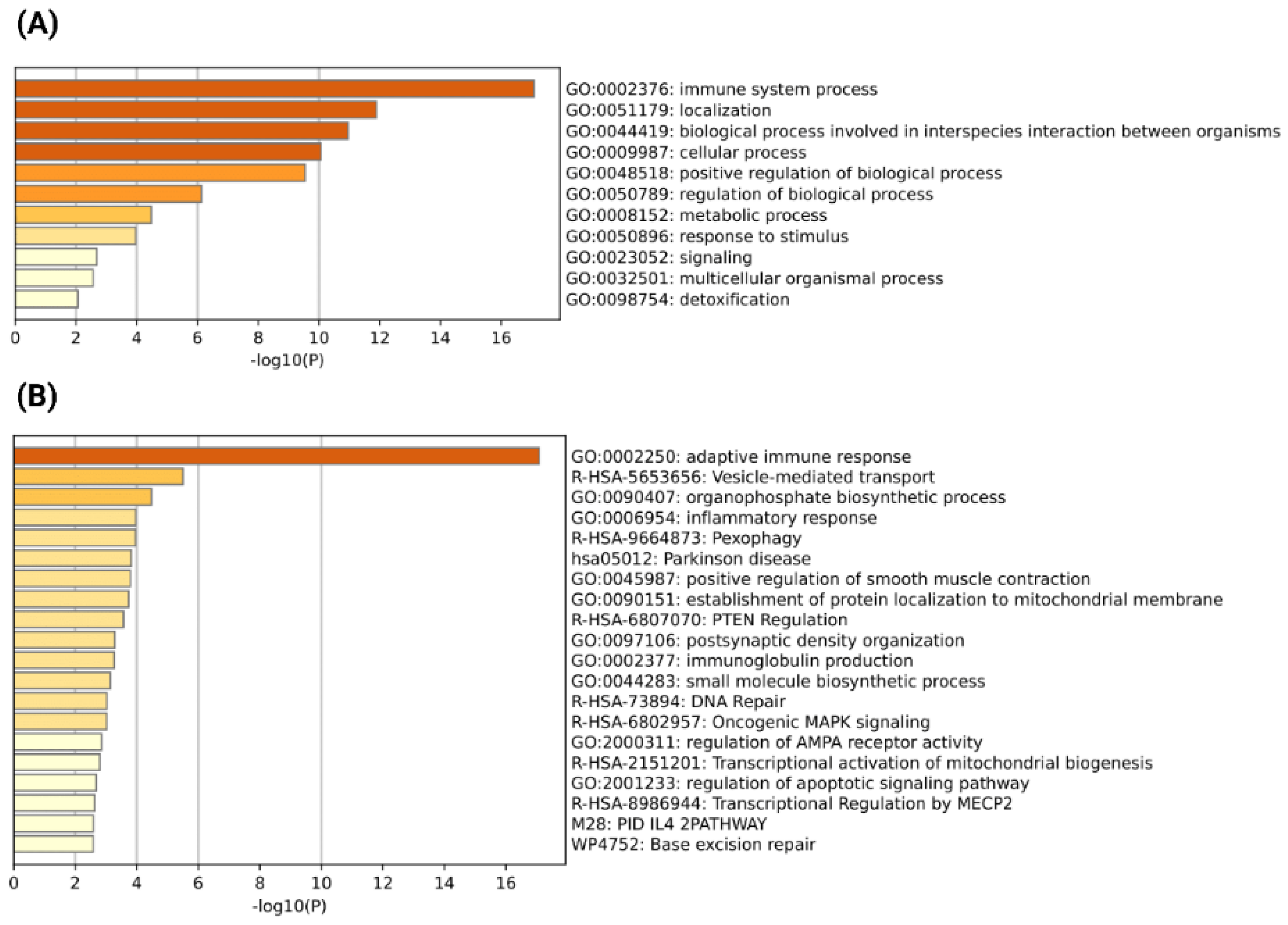 Viruses 15 00433 g005