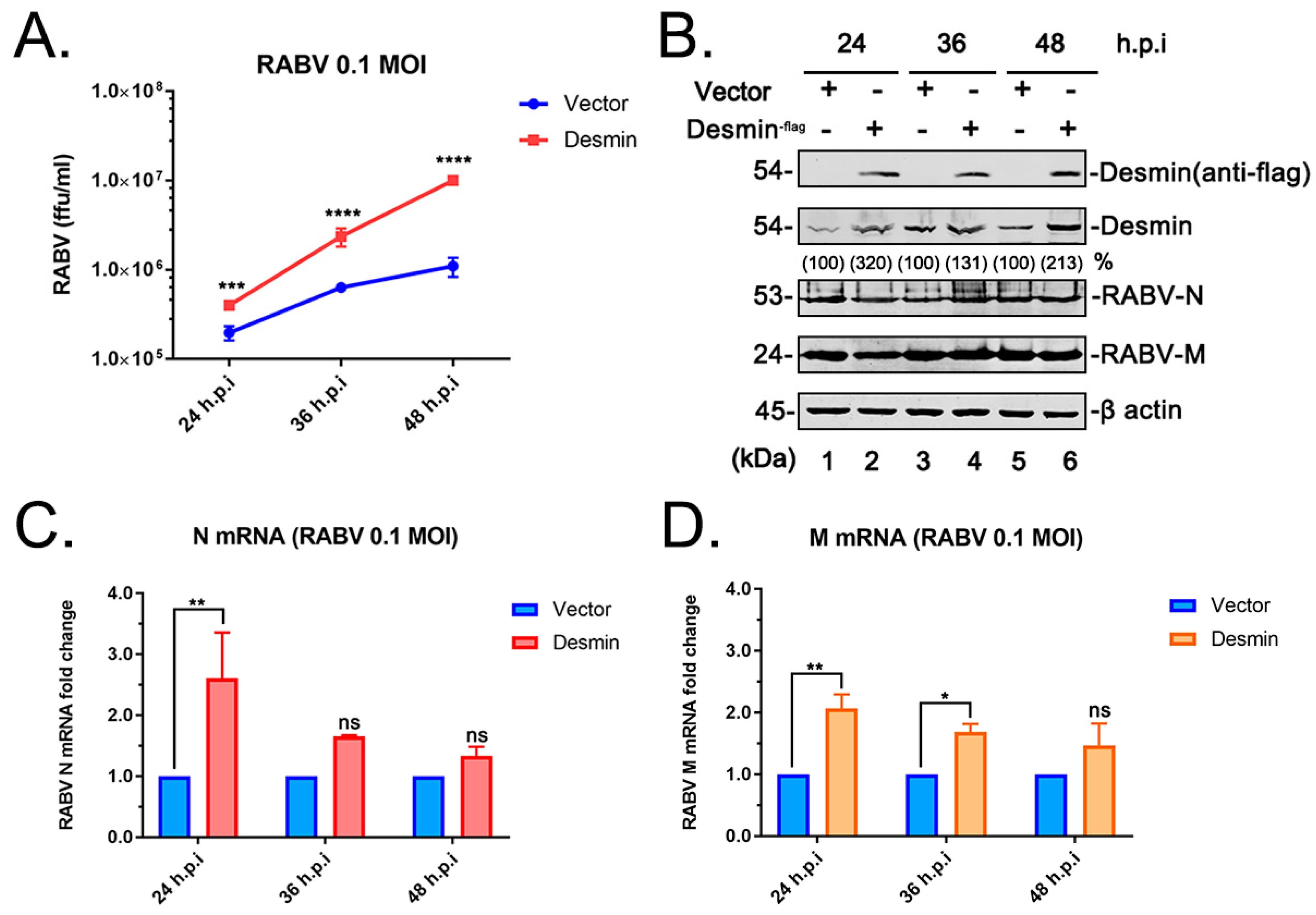 Viruses 15 00434 g002 Viruses 15 00434 g002