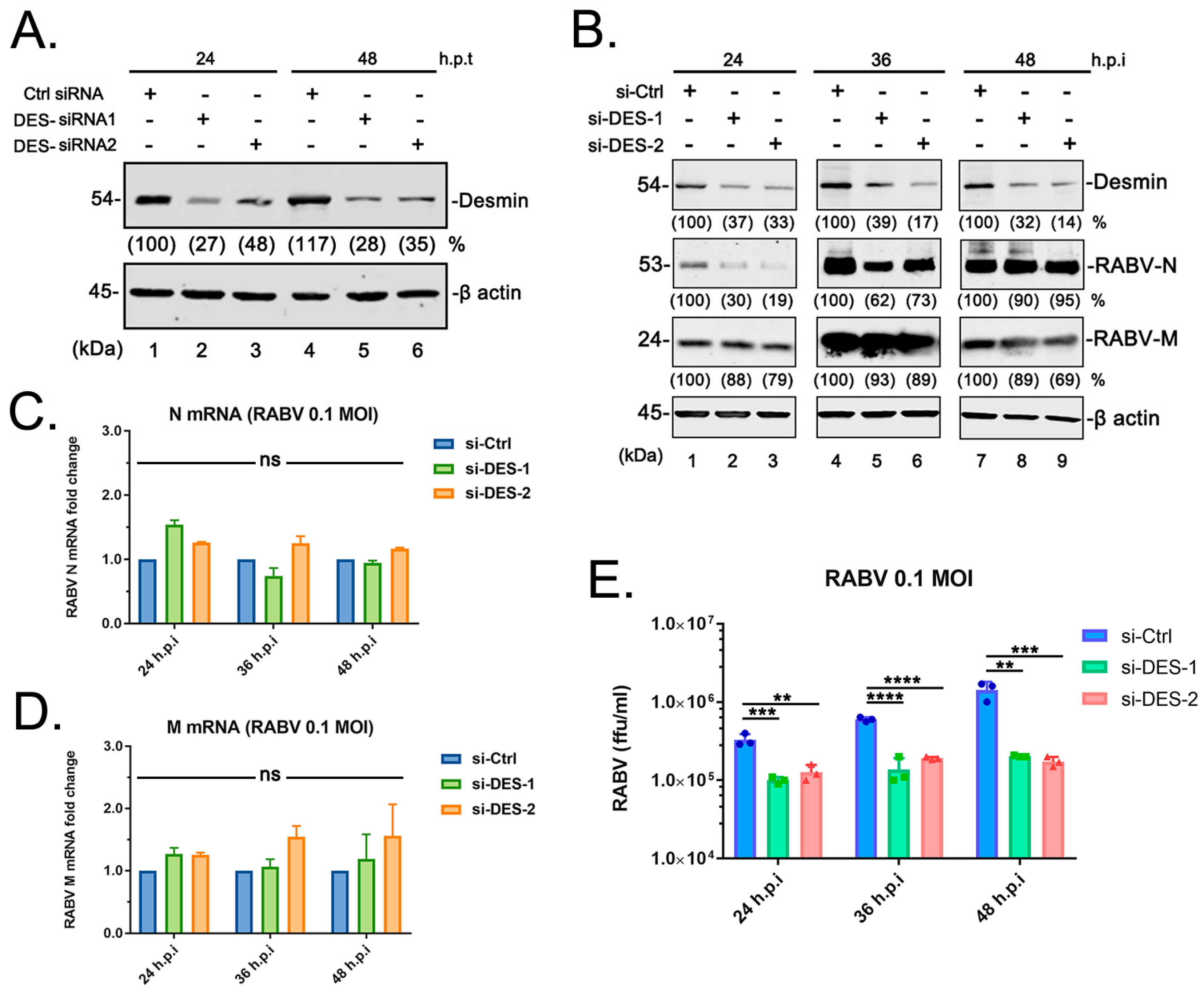 Viruses 15 00434 g003 Viruses 15 00434 g003