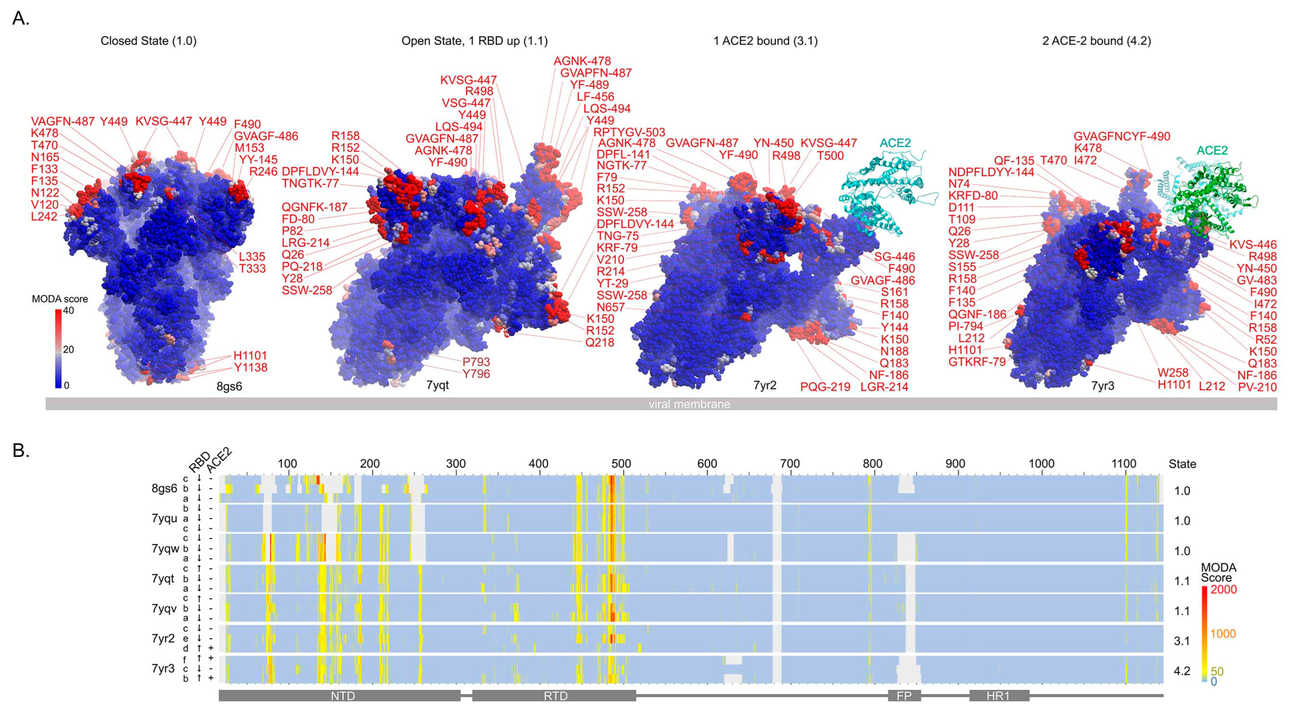 Viruses 15 00447 g003