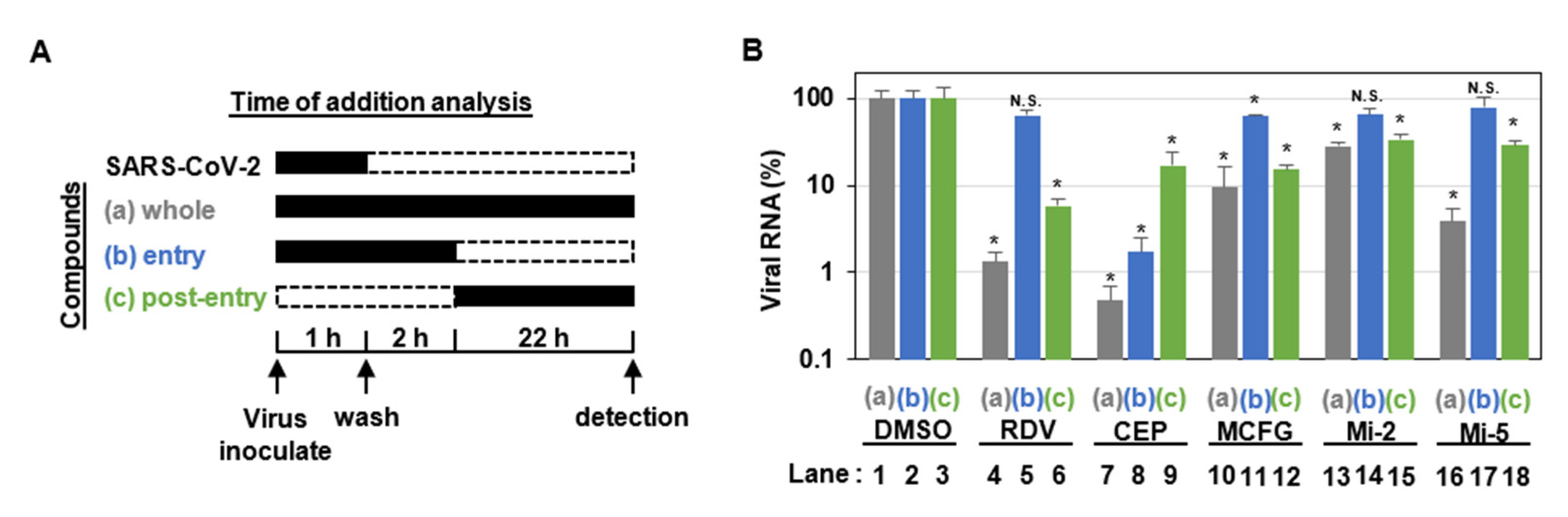 Viruses 15 00452 g001 Viruses 15 00452 g001