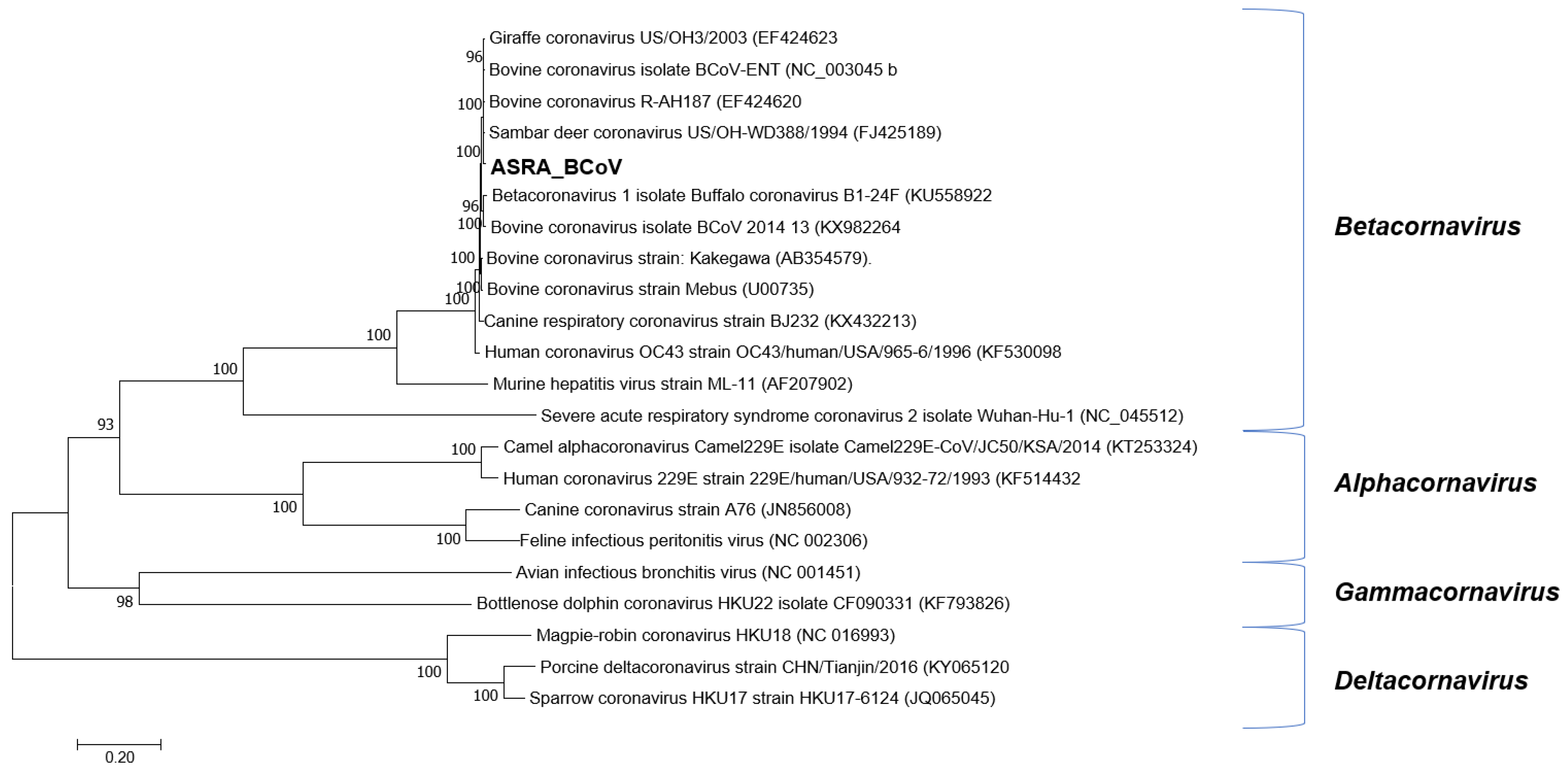 Viruses 15 00455 g002