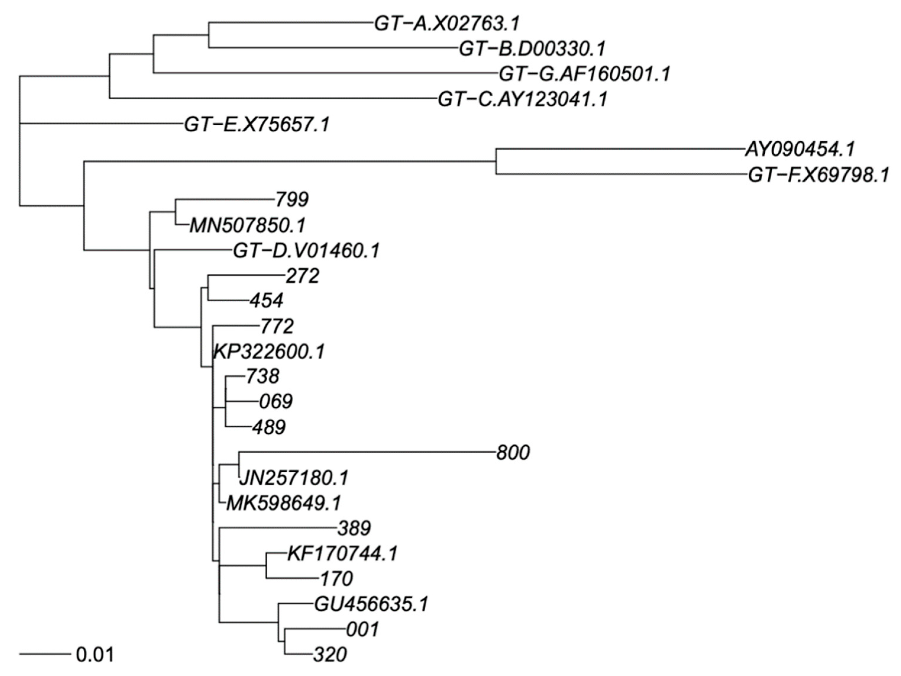 Viruses 15 00458 g001