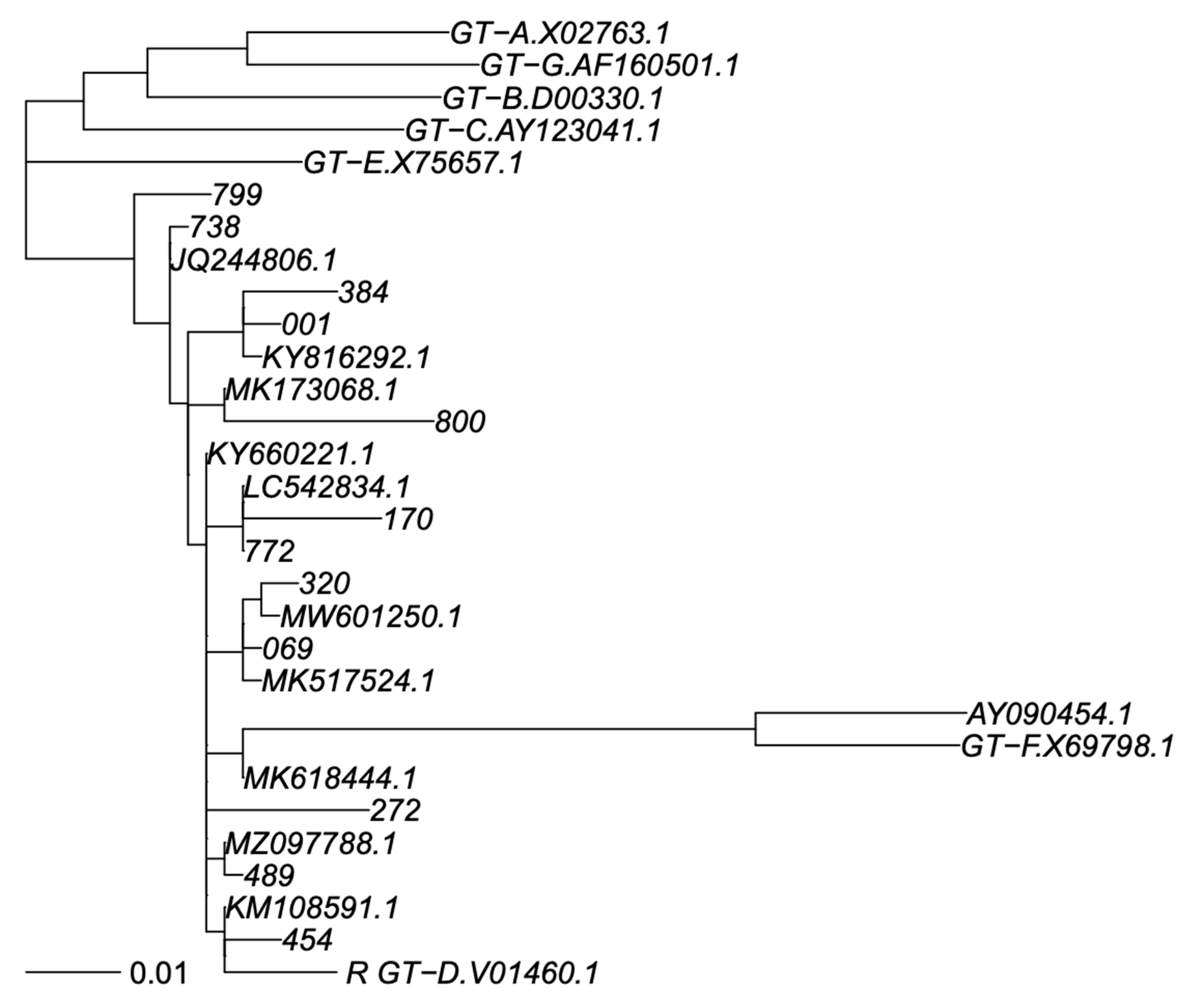 Viruses 15 00458 g002