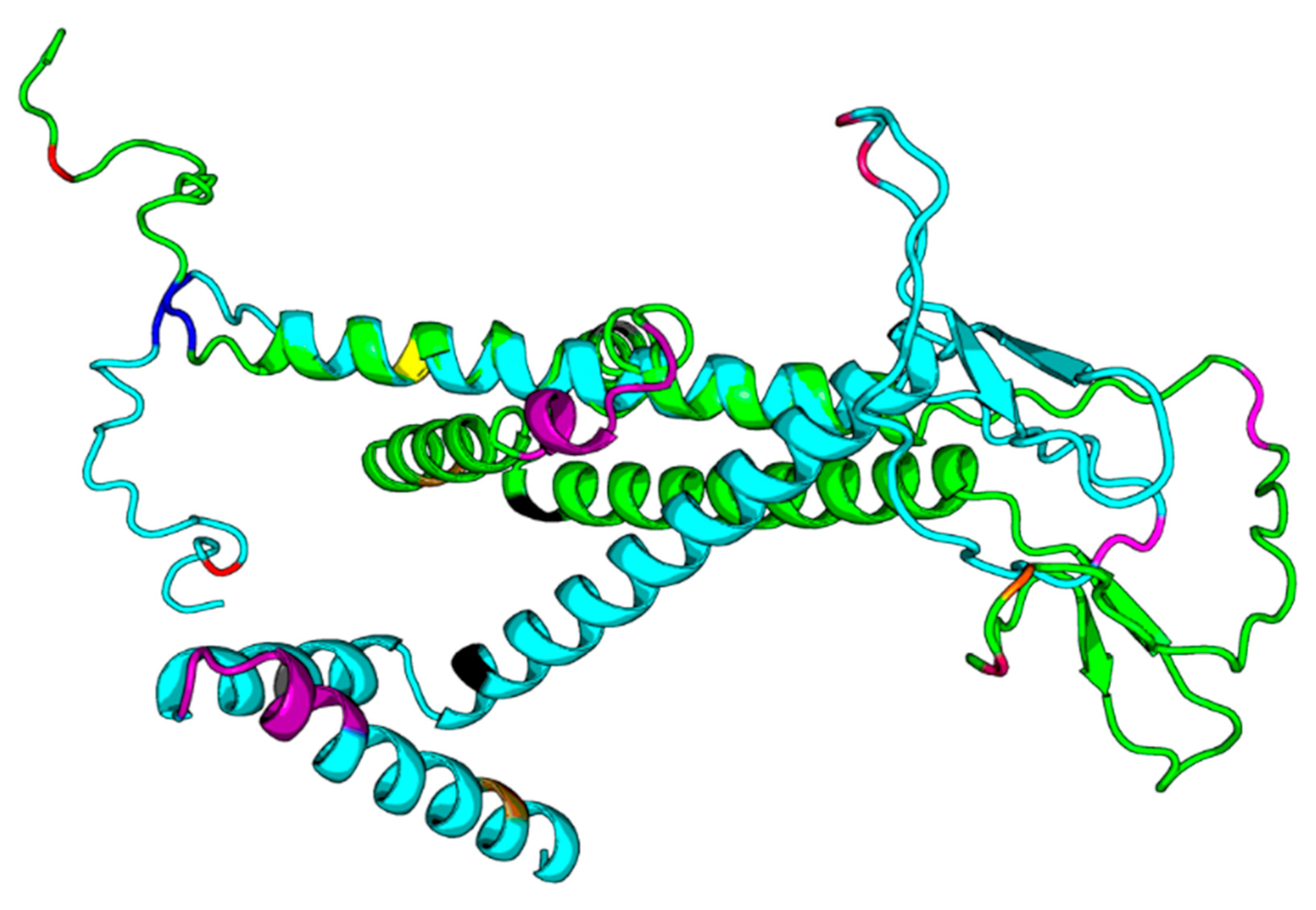 Viruses 15 00458 g005