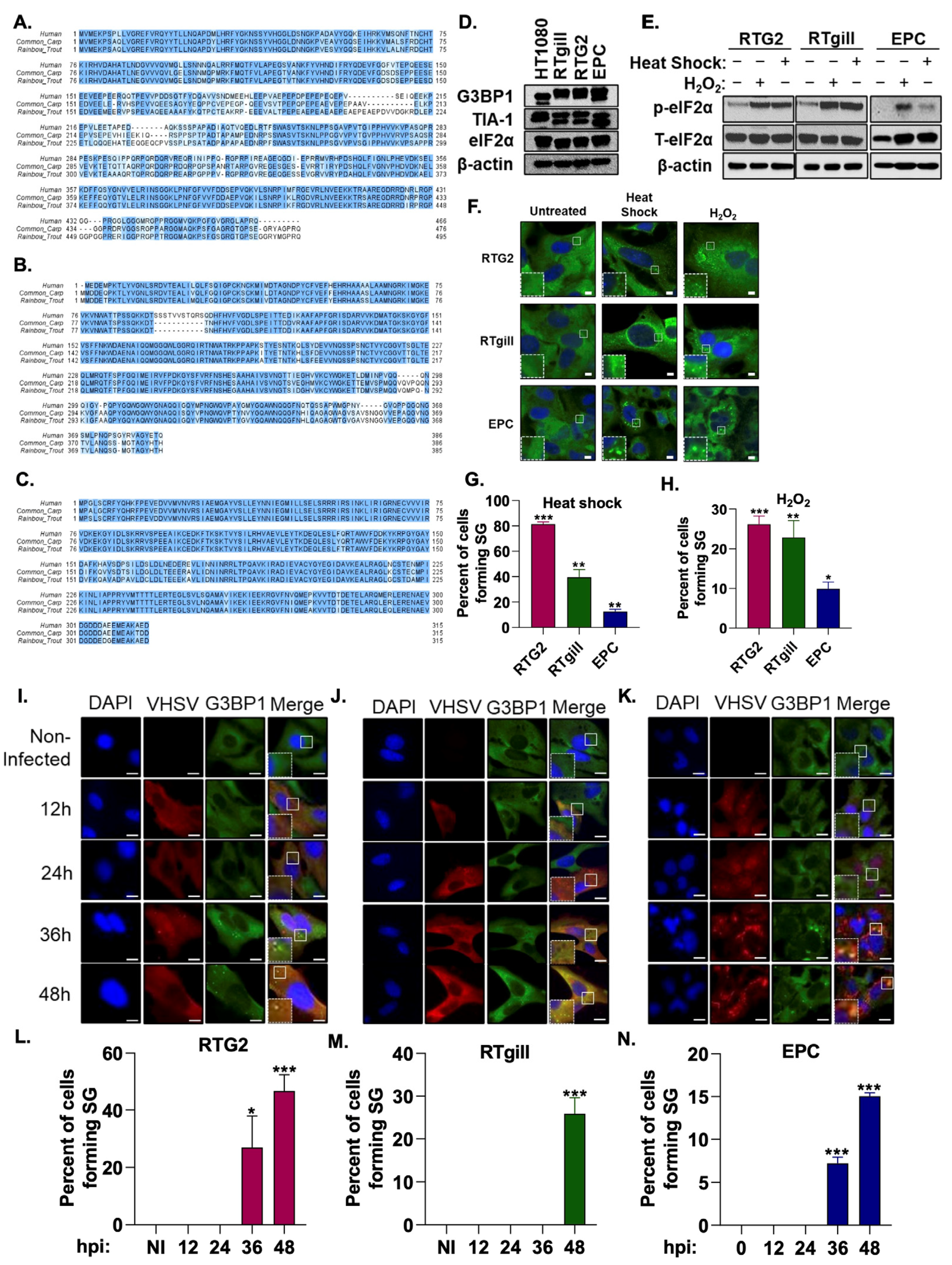 Viruses 15 00466 g001