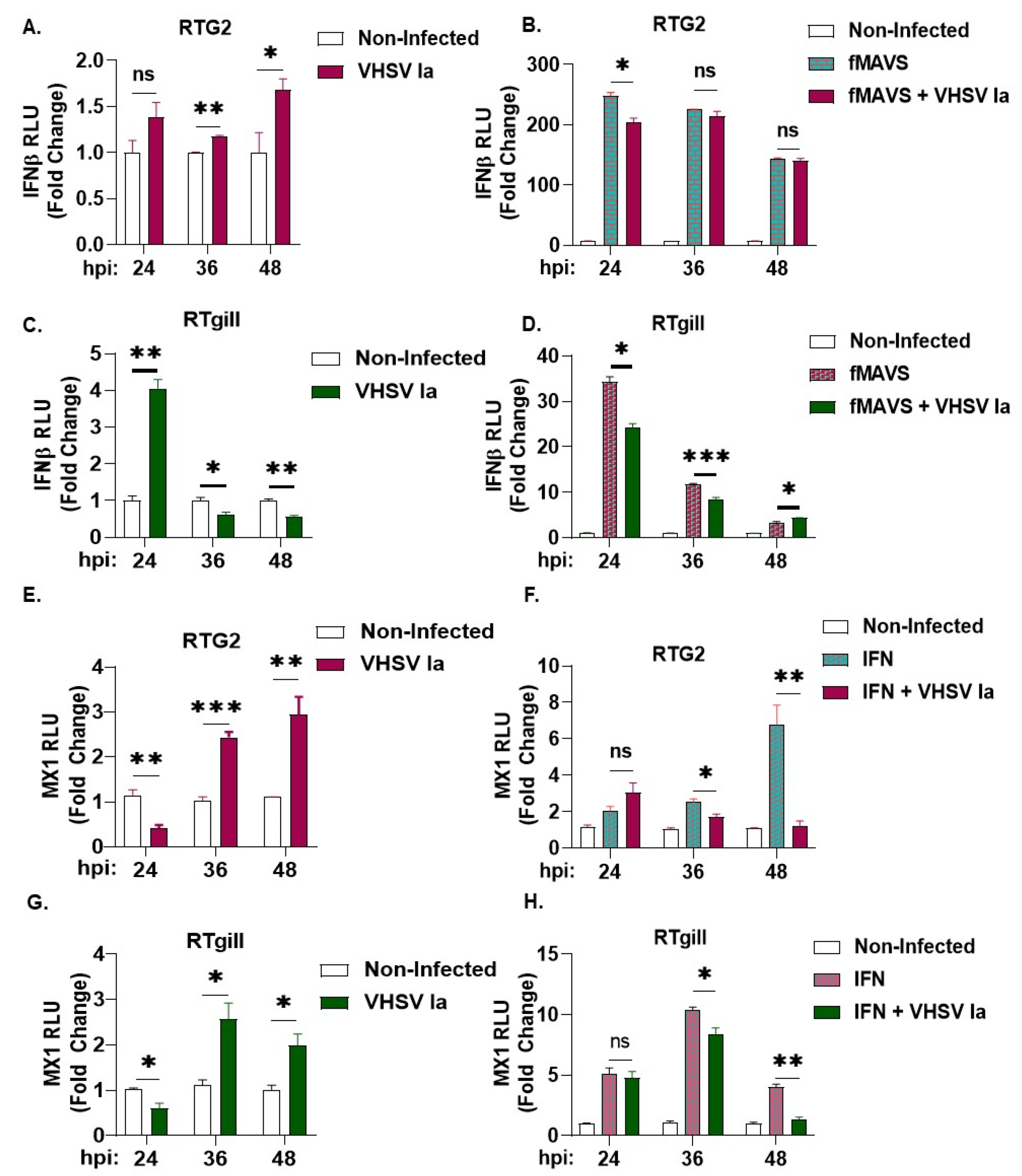 Viruses 15 00466 g003