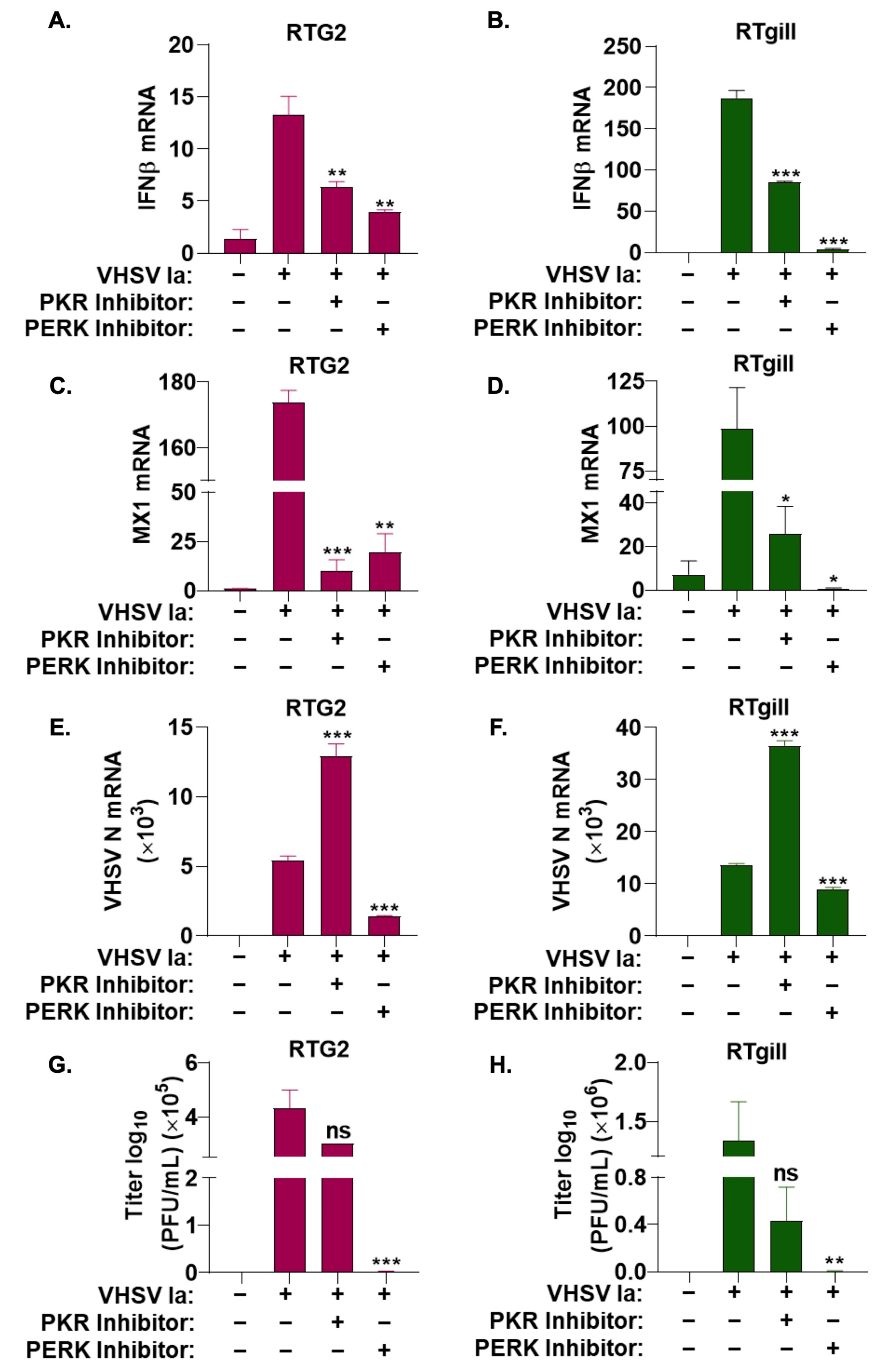 Viruses 15 00466 g004